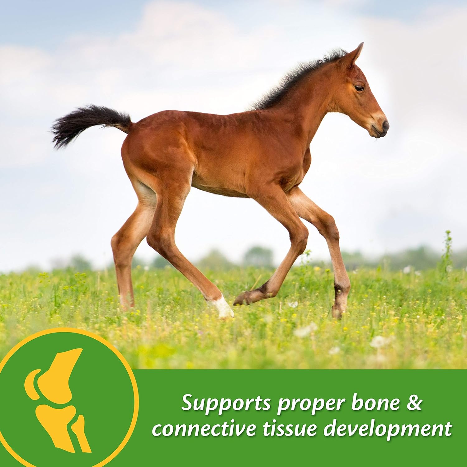 Farnam Grow Colt Supplement for Growth & Development - 7.5 lbs, 60 Day Supply for Healthy Foal Growth