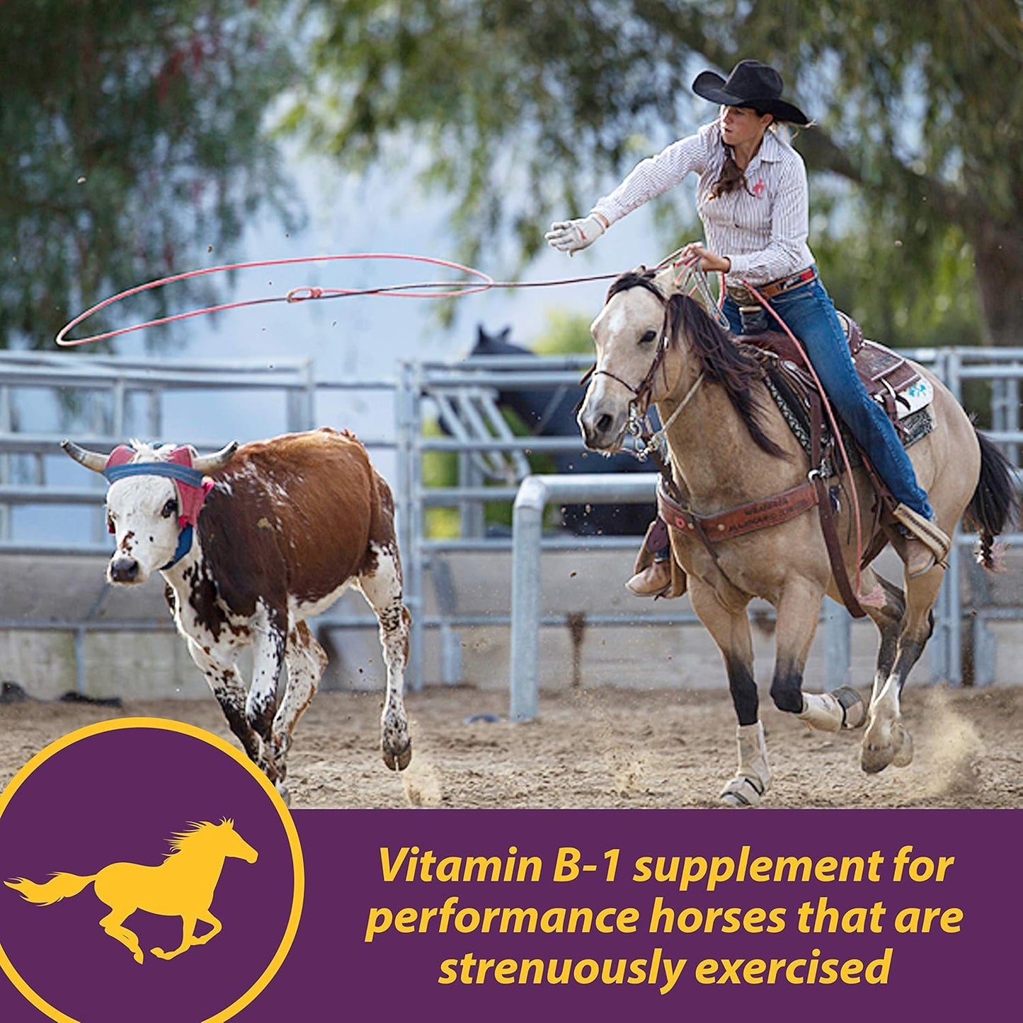 Farnam Horse Health Vita B-1 Crumbles Supplement - 20 lbs, 320 Day Supply for Performance Horses