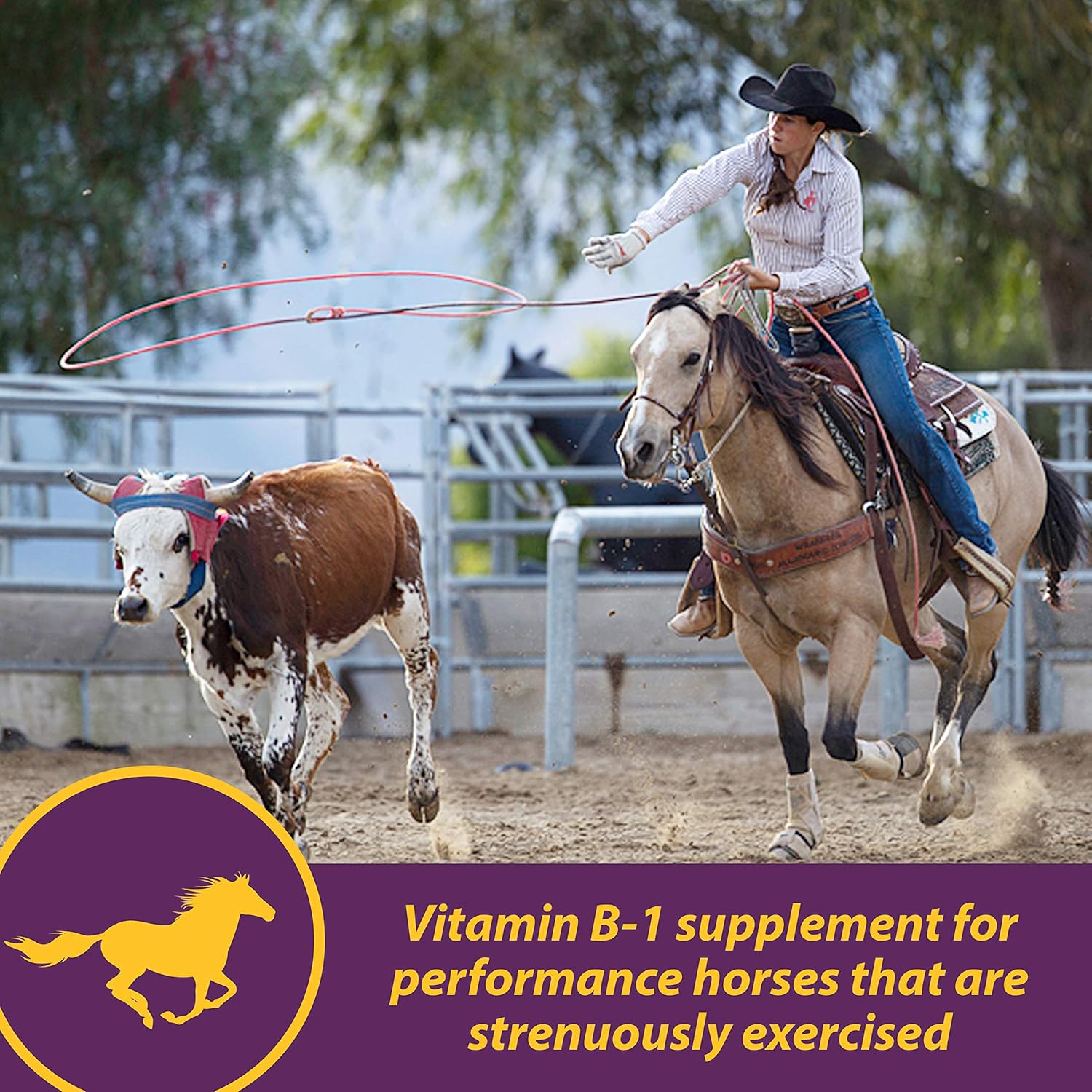 Farnam Horse Health Vita B-1 Crumbles Supplement - 20 lbs, 320 Day Supply for Performance Horses