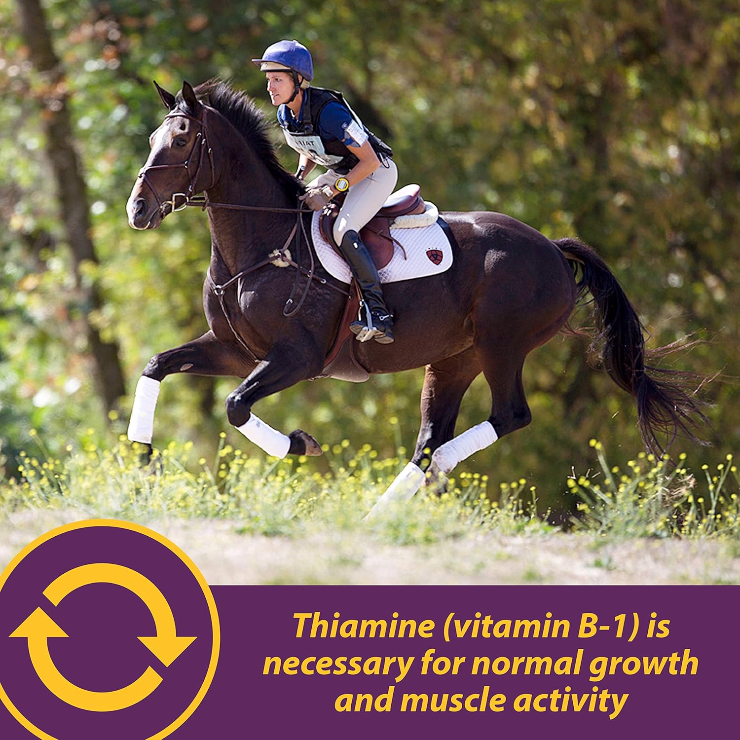 Farnam Horse Health Vita B-1 Crumbles Supplement - 20 lbs, 320 Day Supply for Performance Horses