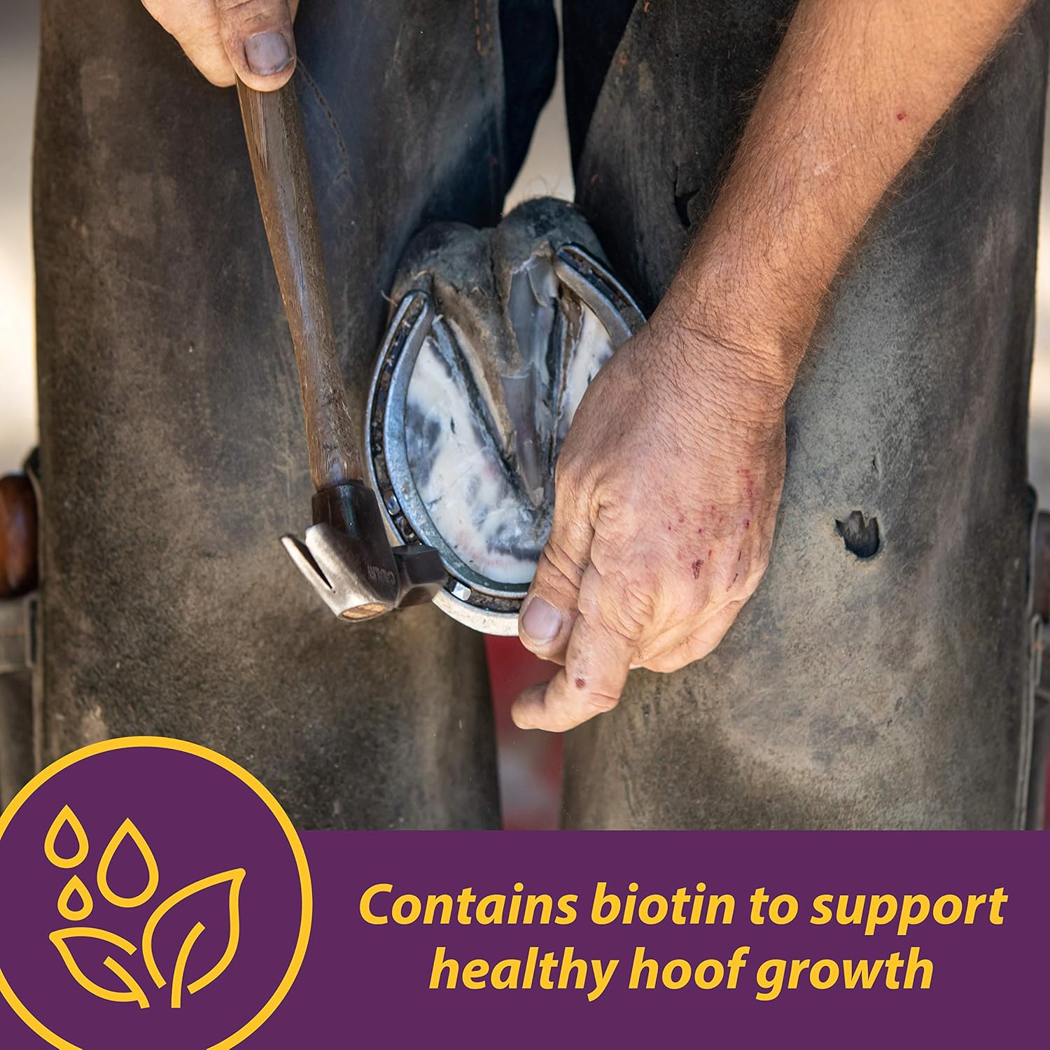 Farnam Horse Health Vita Biotin Crumbles Hoof Supplement - 20 lbs, 320 Day Supply - Promotes Strong and Healthy Hooves