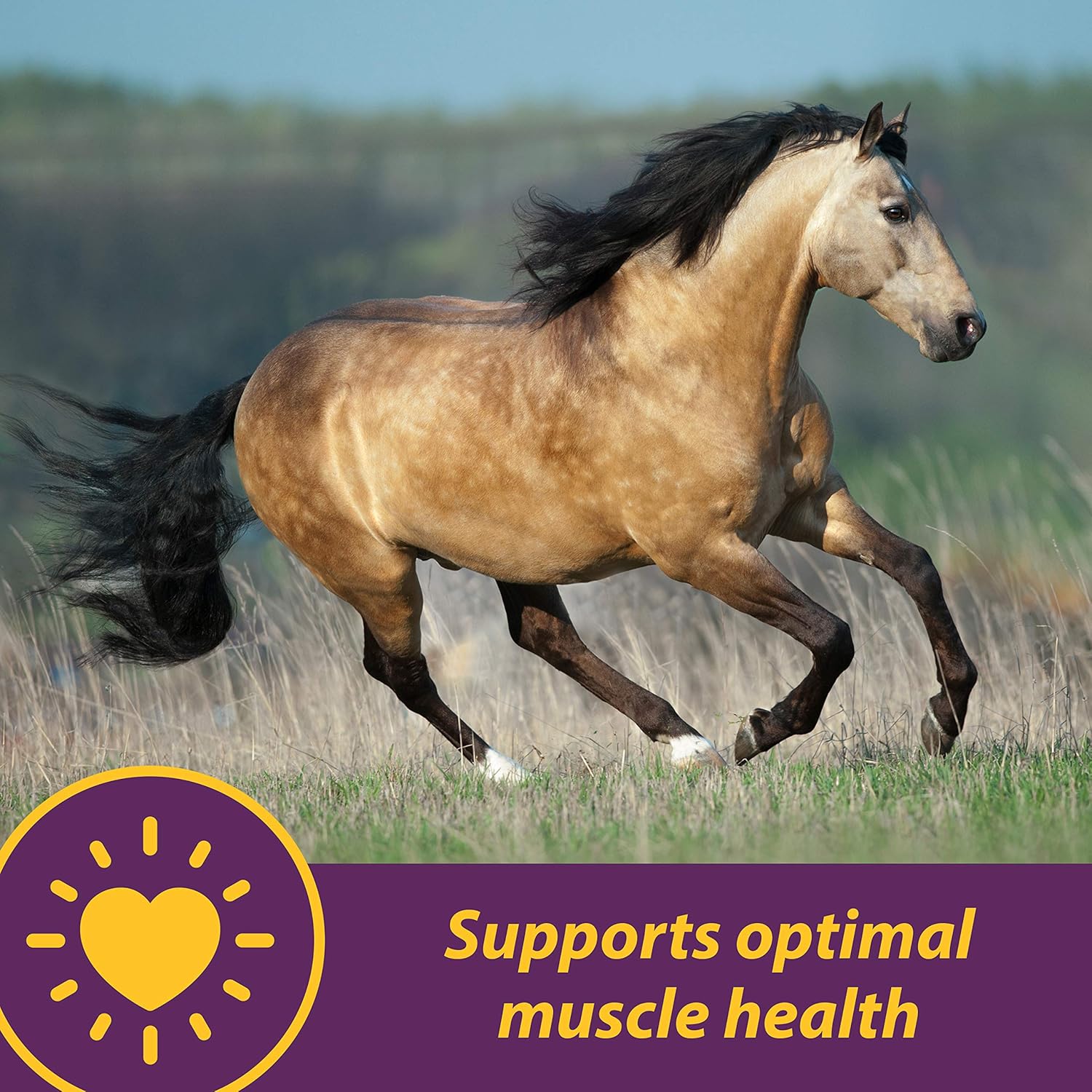 Farnam Horse Health Vita E & Selenium Crumbles Supplement, 3 lbs, 96 Days Supply, Muscle & Antioxidant Support