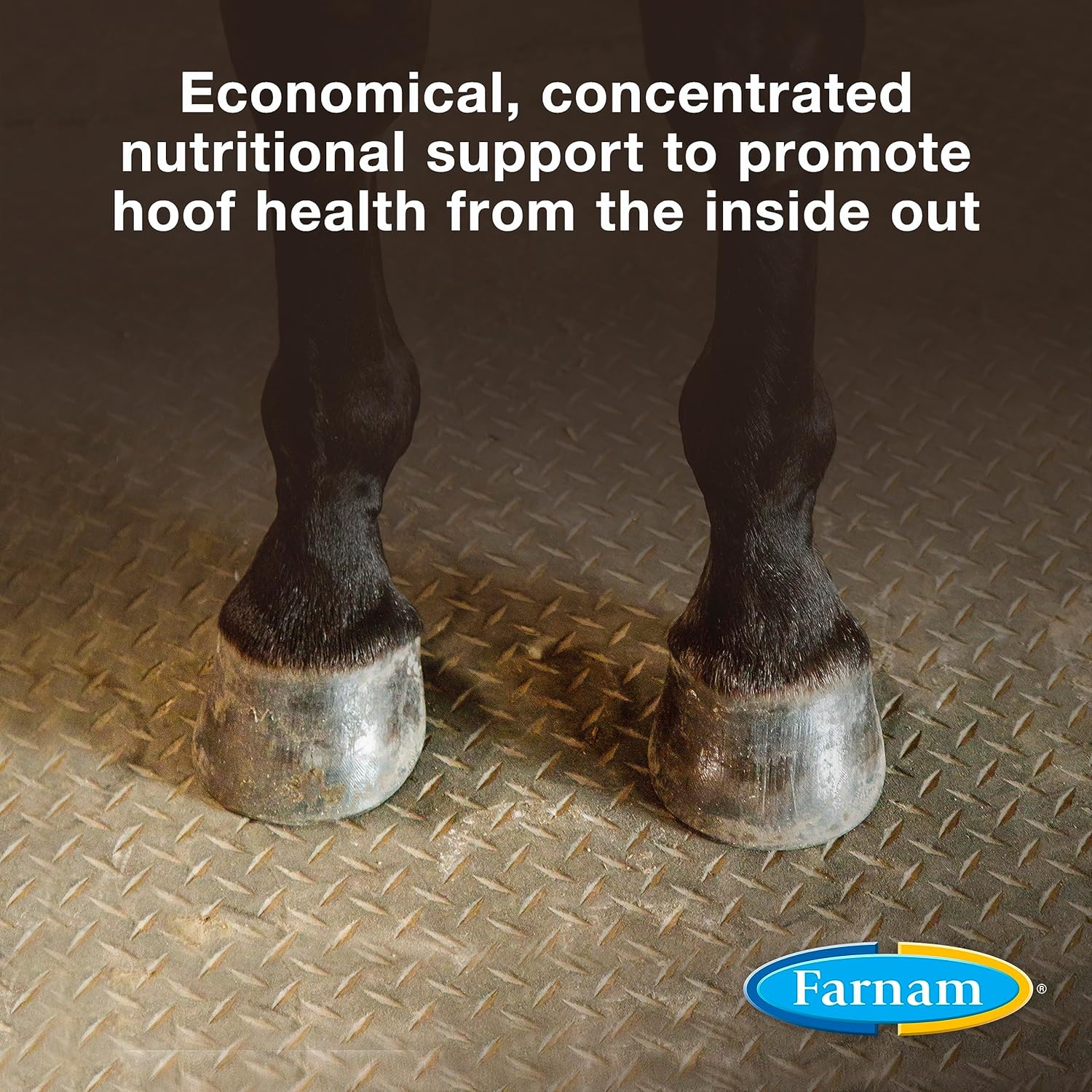 Farnam Horseshoer's Secret Pelleted Hoof Supplement, 25 mg Biotin, 3.75 lb, 30 Day Supply