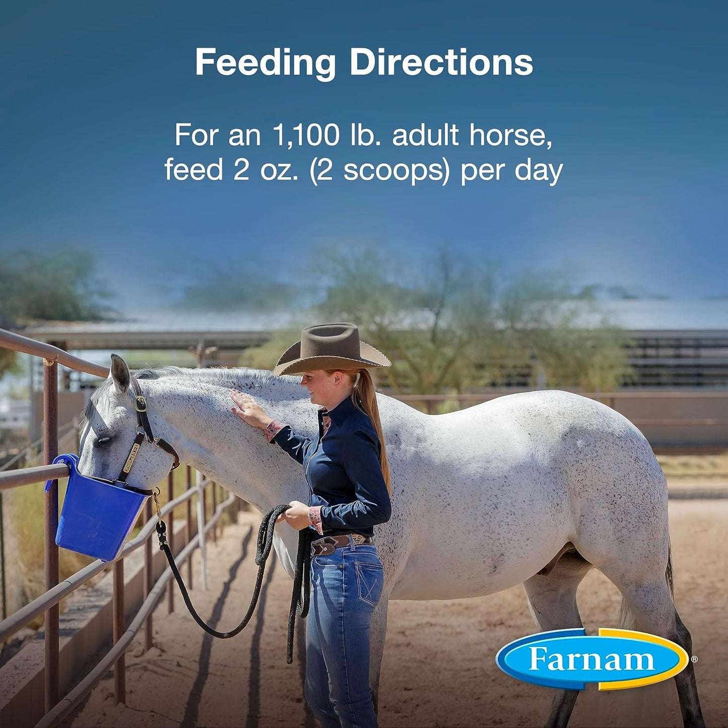 Farnam Horseshoer's Secret Pelleted Hoof Supplement, 25 mg Biotin, 3.75 lb, 30 Day Supply