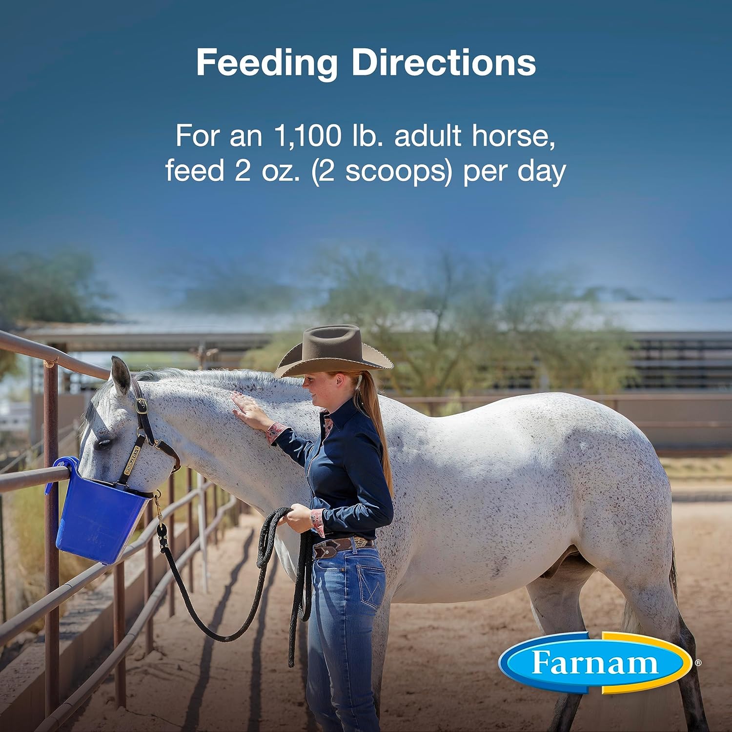 Farnam Horseshoer's Secret Pelleted Hoof Supplement, 25 mg Biotin, 3.75 lb, 30 Day Supply