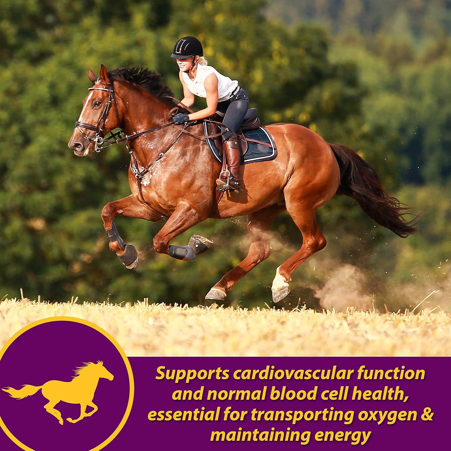 Farnam Red Cell Pellets Vitamin-Iron-Mineral Supplement for Horses - 4 lbs - 64-Day Supply