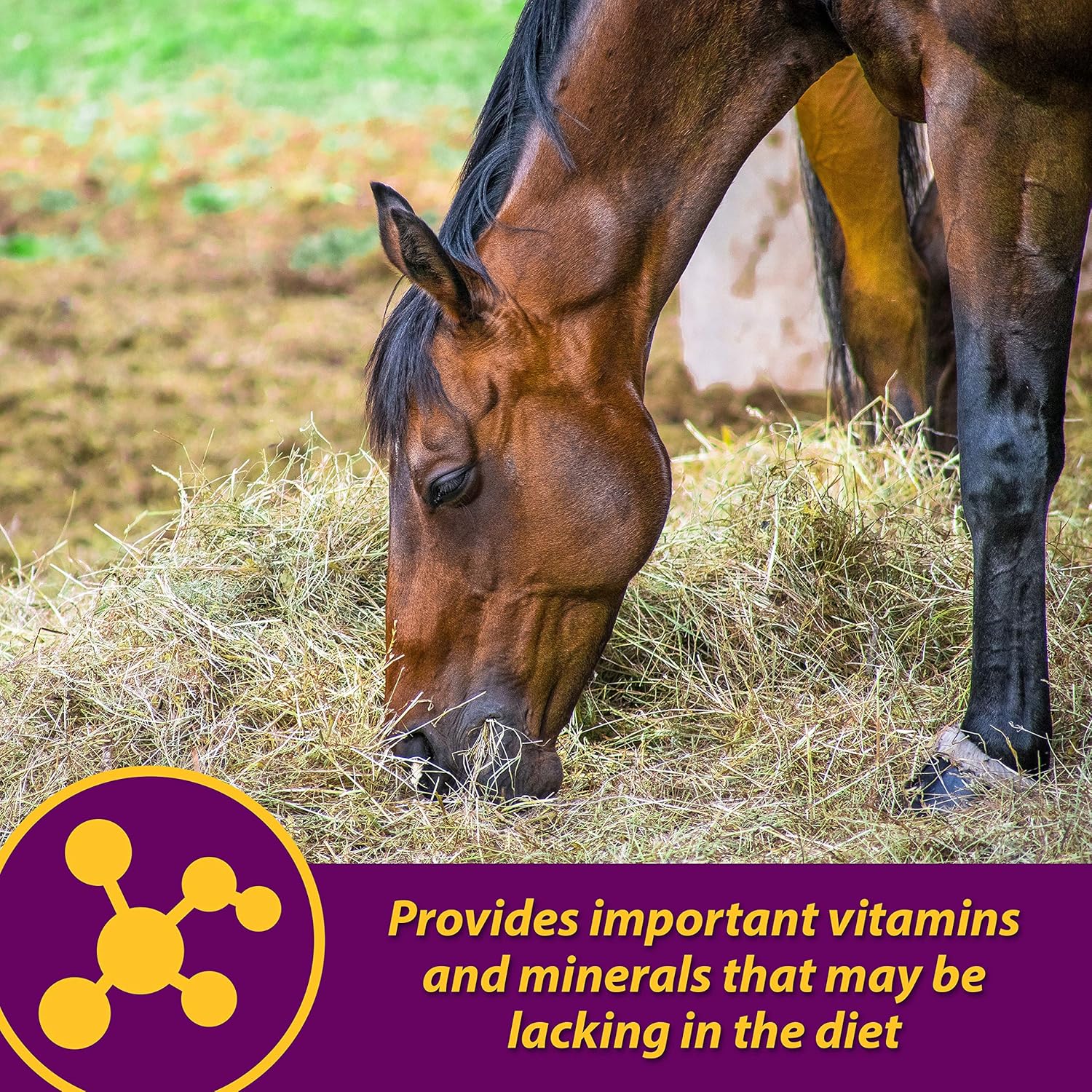 Farnam Red Cell Pellets Vitamin-Iron-Mineral Supplement for Horses - 4 lbs - 64-Day Supply