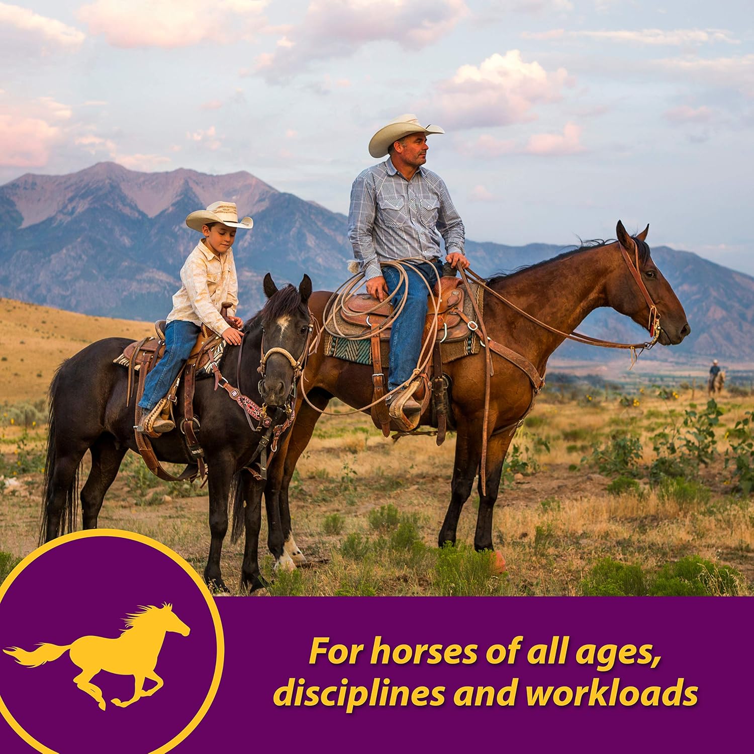 Farnam Red Cell Pellets Vitamin-Iron-Mineral Supplement for Horses - 4 lbs - 64-Day Supply