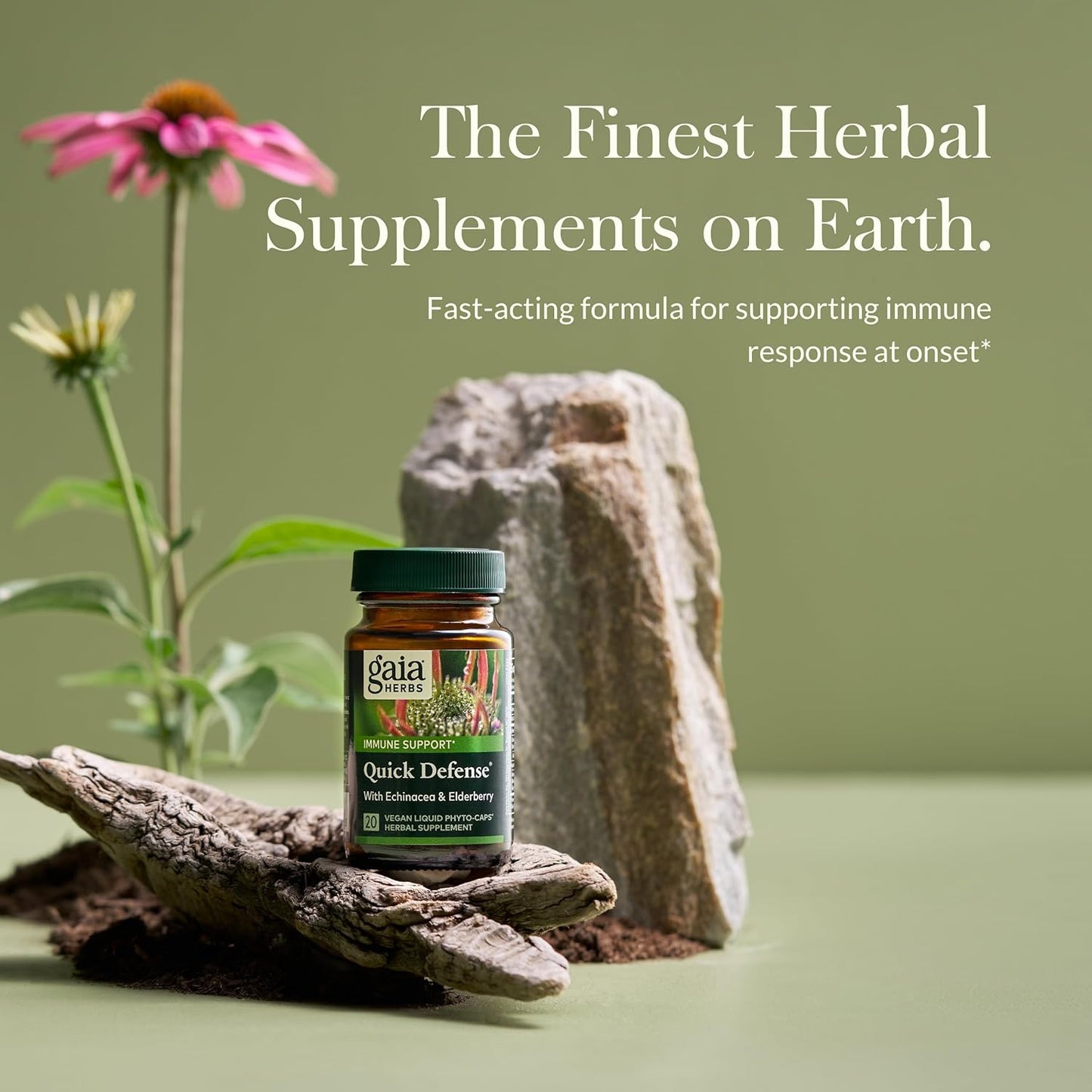 Fast-Acting Immune Support Supplement with Echinacea, Black Elderberry, Ginger & Andrographis - 20 Vegan Liquid Phyto-Capsules