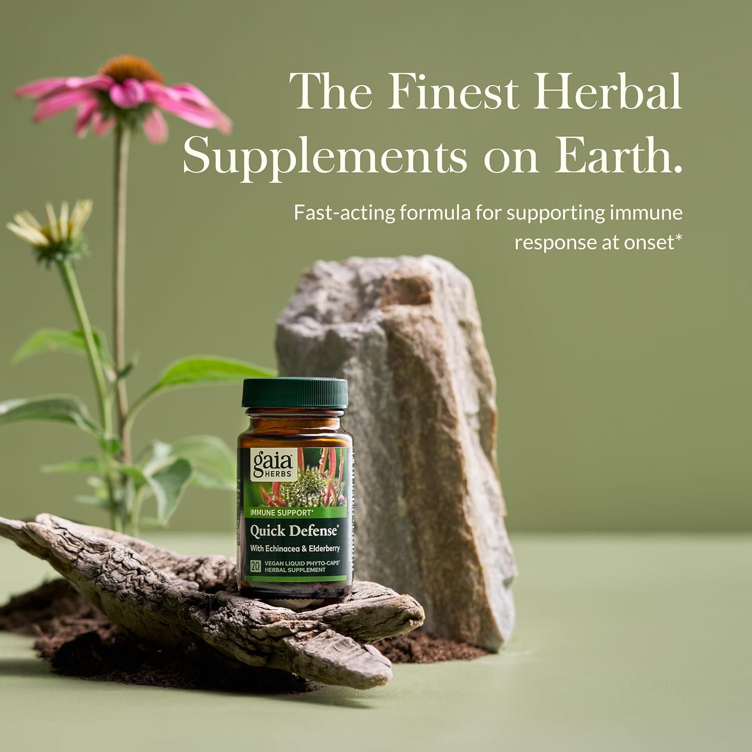 Fast-Acting Immune Support Supplement with Echinacea, Black Elderberry, Ginger & Andrographis - 20 Vegan Liquid Phyto-Capsules
