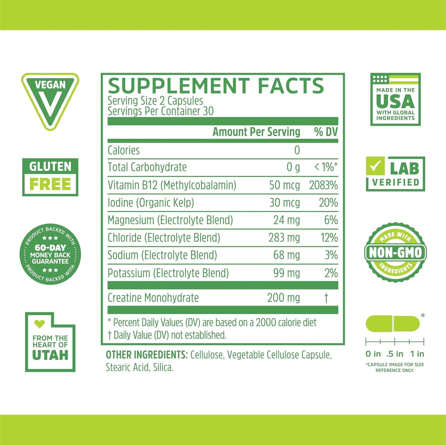 Fast Support+ Intermittent Fasting Supplement with Vitamin B12 and Electrolytes for Energy and Physical Performance, 60 Veg Caps