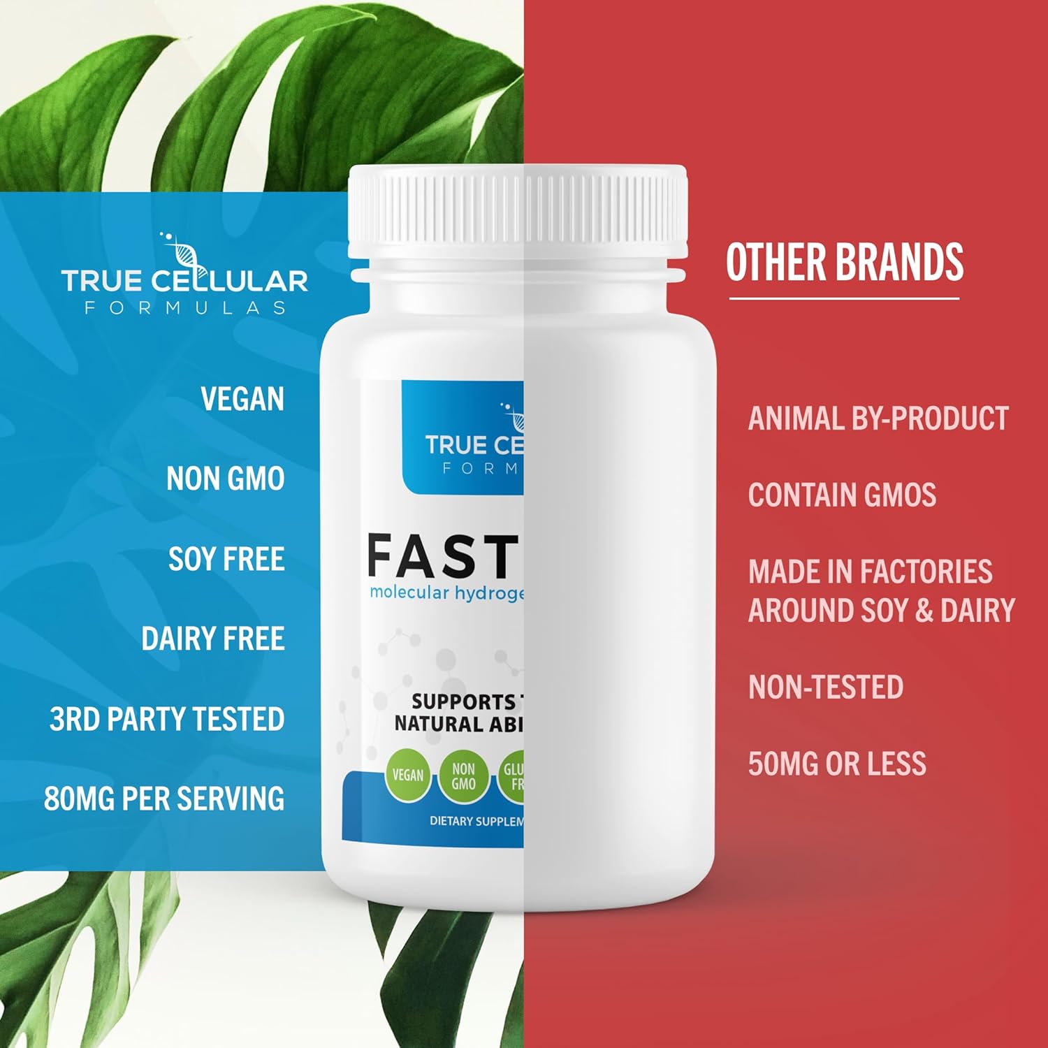 Fastonic Molecular Hydrogen Supplement - Elite Level of H2 for Effortless Fasting and Improved Cognitive Function - 60 Servings, Non GMO, Gluten Free, Soy Free