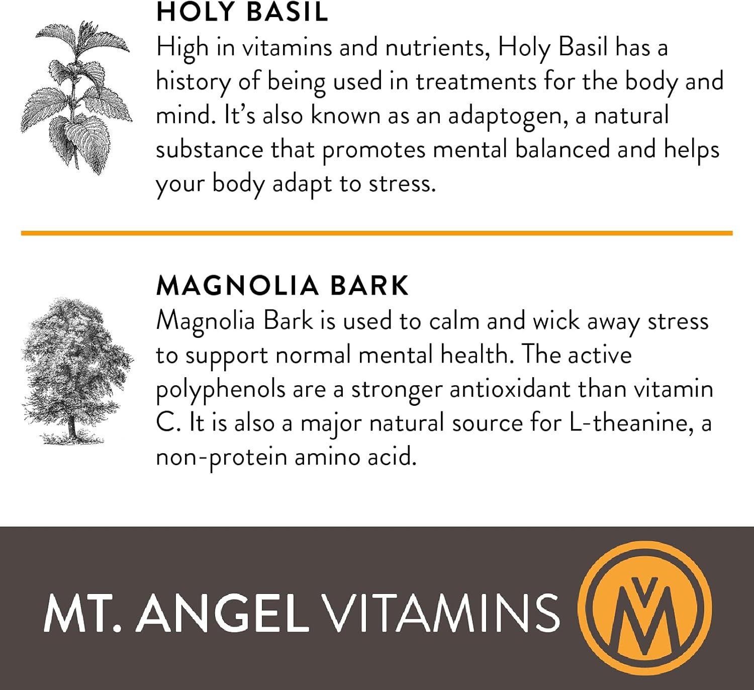 Feel Good with Mt. Angel Vitamins: Quality Supplements for Wellness and Happiness