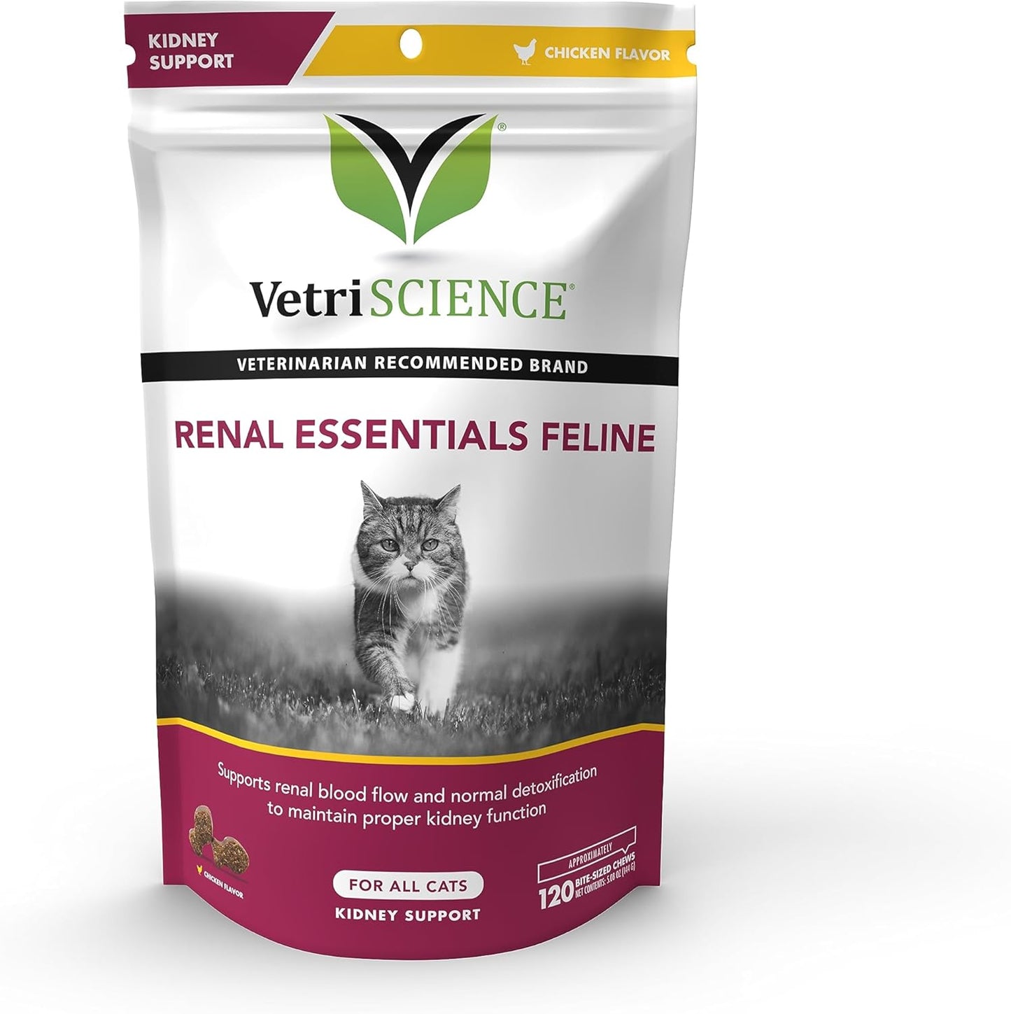Feline Kidney Supplement with Astragalus Root, Nettle, Herbs, and Folic Acid - Support for Cats' Kidney and Urinary Tract Health
