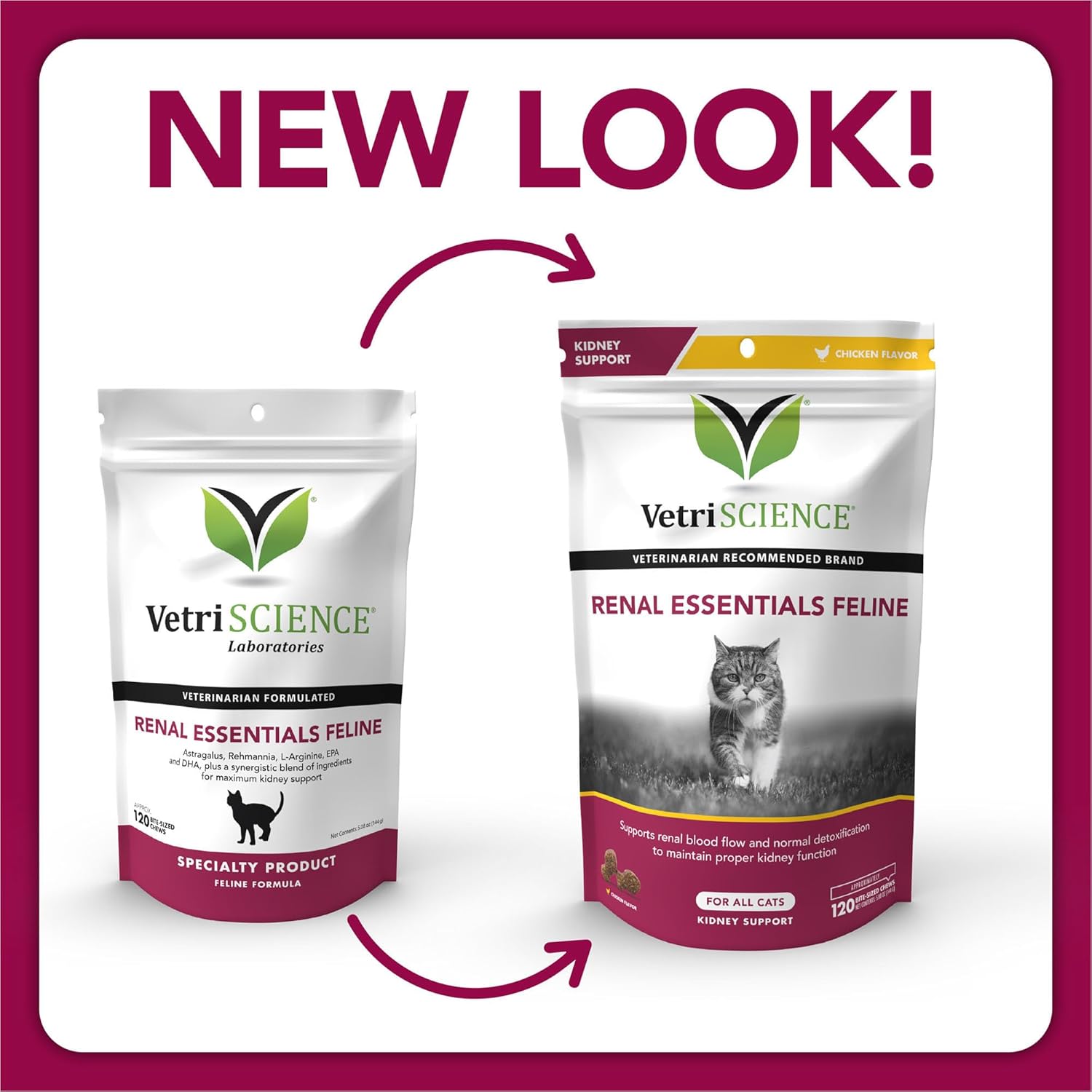 Feline Kidney Supplement with Astragalus Root, Nettle, Herbs, and Folic Acid - Support for Cats' Kidney and Urinary Tract Health