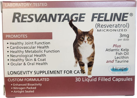Feline Longevity Supplement with Resveratrol - 30 Capsules for Cats