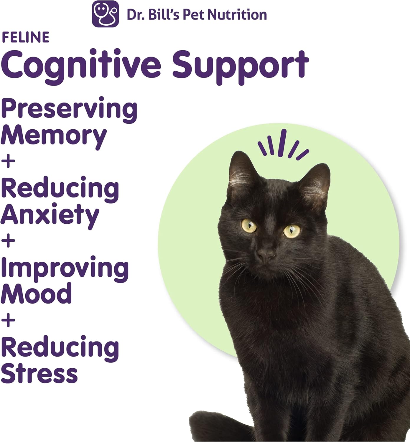 Feline Memory Support Supplement with Gingko Biloba, L-Carnosine, B-12, L-Glutamine, L-Tyrosine, and DHA