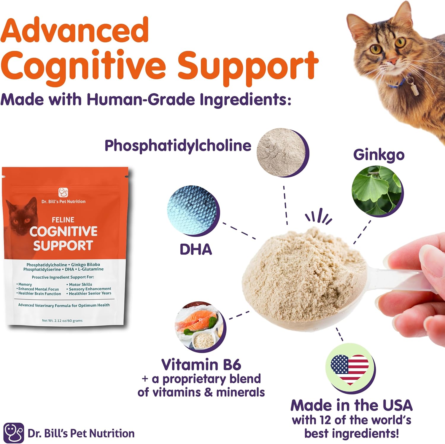 Feline Memory Support Supplement with Gingko Biloba, L-Carnosine, B-12, L-Glutamine, L-Tyrosine, and DHA
