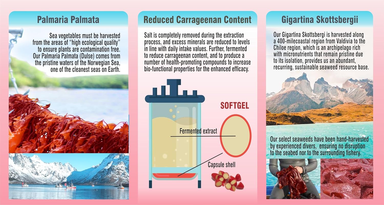 Fermented Red Marine Algae Complex with Gigartina & Dulse, Low Carrageenan, 120 Softgels