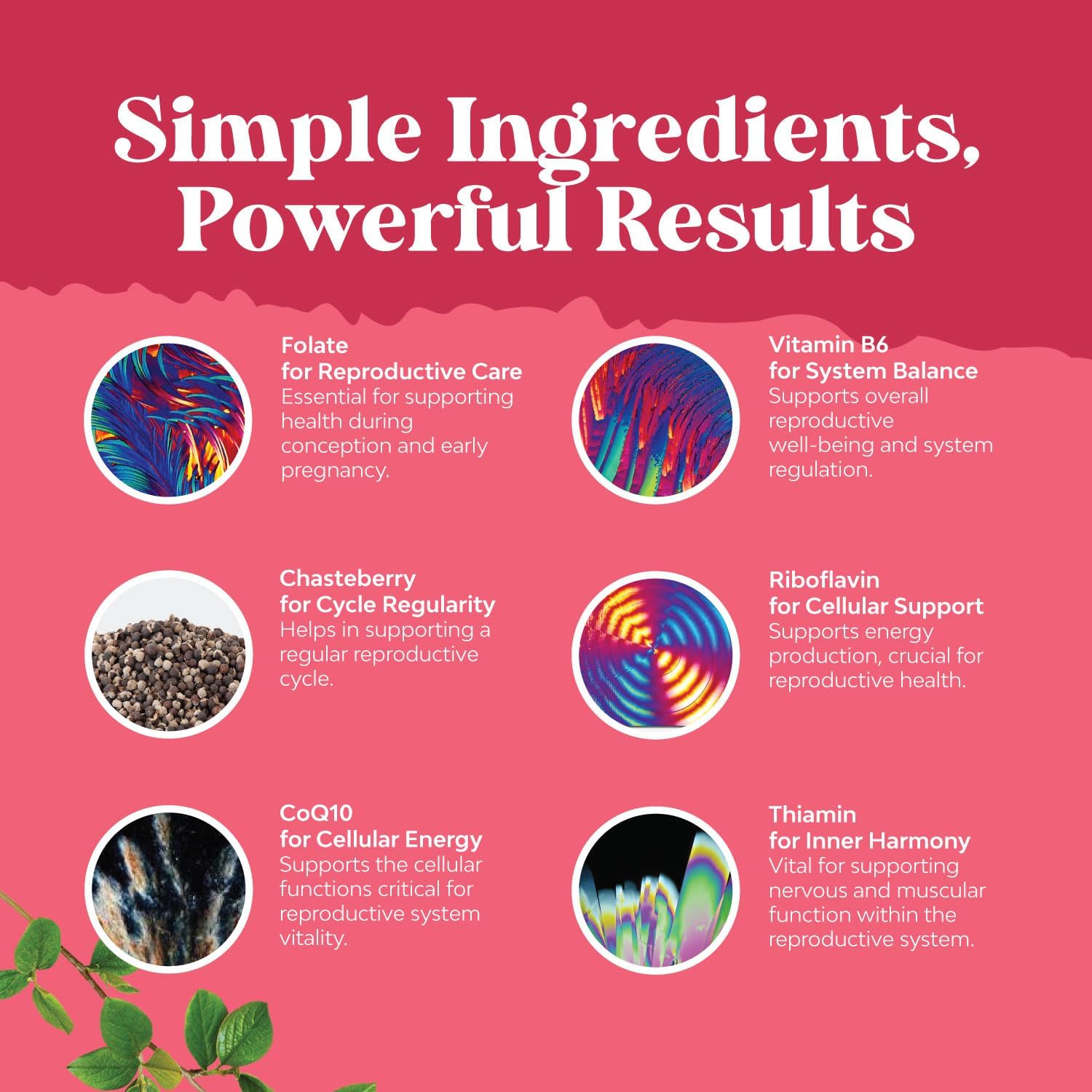 Fertility Support Supplement for Women - Prenatal Multivitamins with Choline, Inositol, Folate, Chasteberry, CoQ10 - Promotes Faster Conception