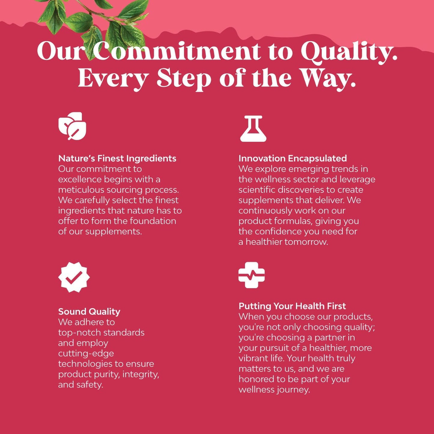 Fertility Support Supplement for Women - Prenatal Multivitamins with Choline, Inositol, Folate, Chasteberry, CoQ10 - Promotes Faster Conception