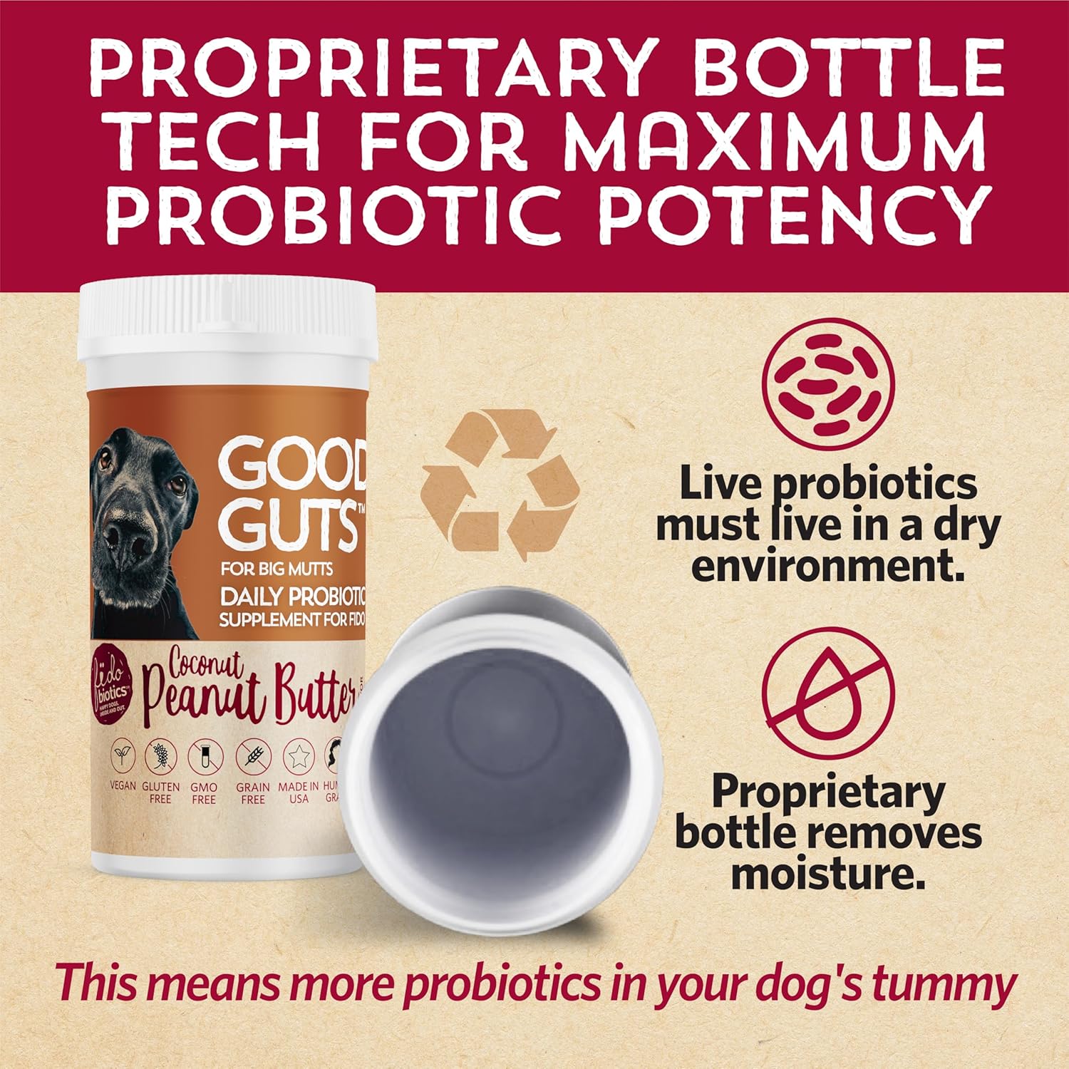 Fidobiotics Good Guts Probiotic for Dogs - 12 Billion CFUs, 11 Strains, 5 Enzymes - Digestive Gut Health for Adult & Puppy Dogs - 20 Day Supply