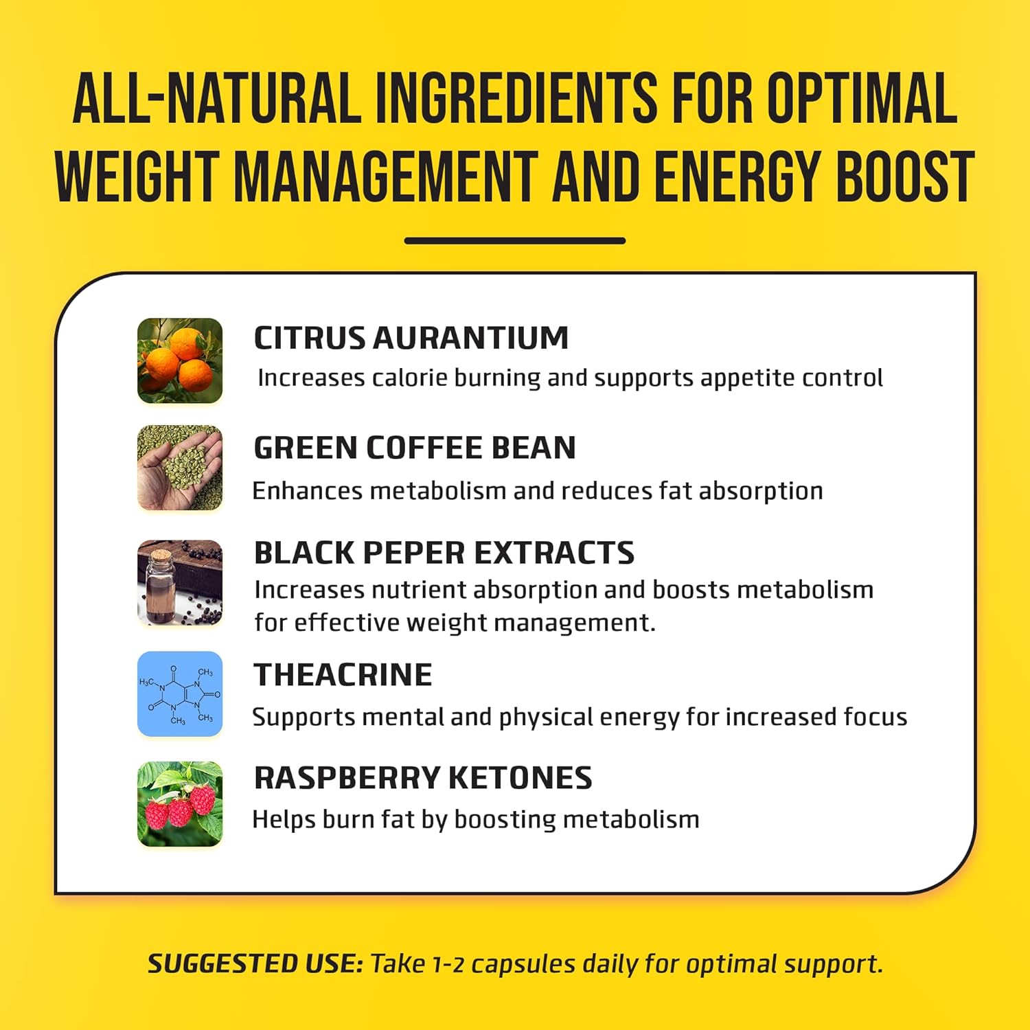 FITKICK CURB'D Capsules - 60 Count for Over-Eating Control, Energy Boost, and Healthy Eating Support