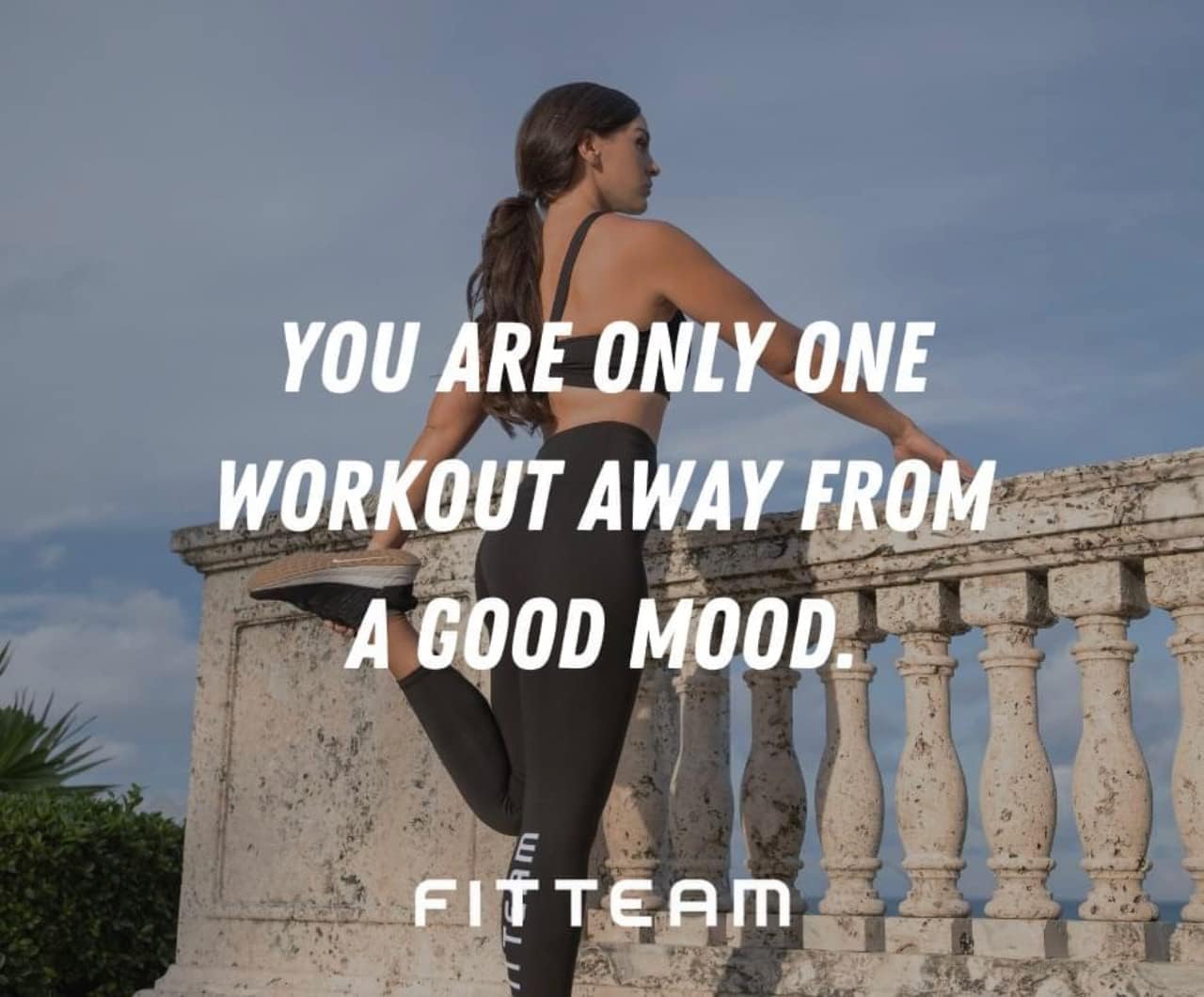 Fitteam Fit 30 Sticks - New Formula - 30 Day Supply