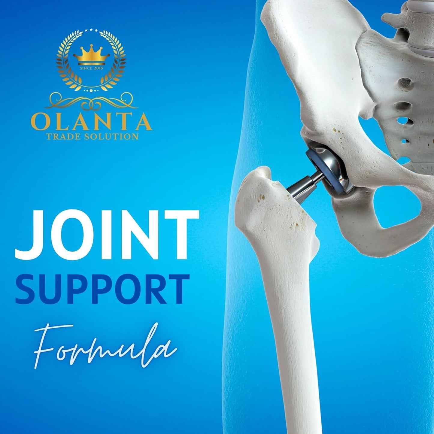 Flexibility and Mobility Joint Support Supplement with MSM and Glucosamine - 1 Bottle