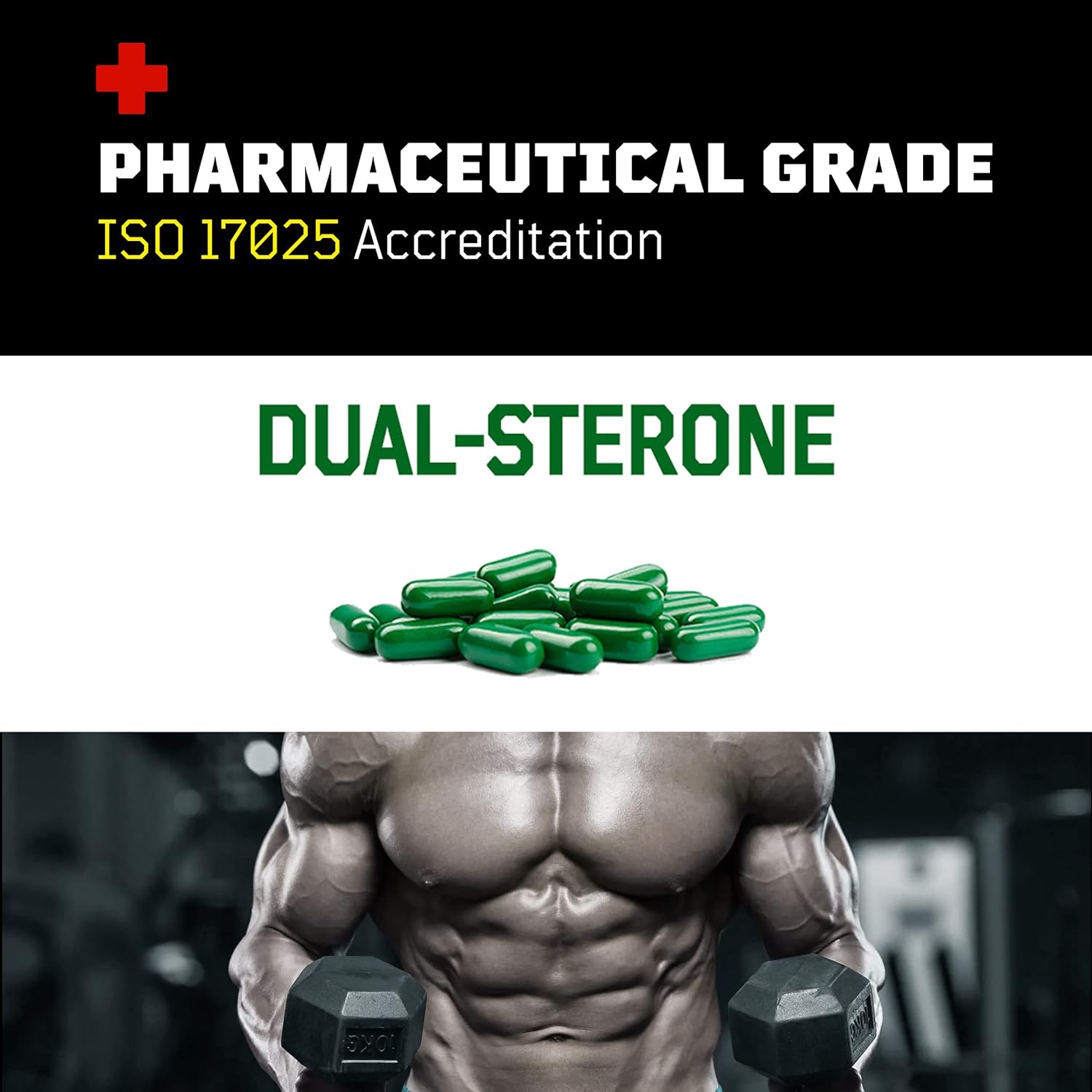 Flight Armour Turkesterone and Ecdysterone Anabolic Supplement - 2 Month Supply with ISO 17025 Certification - 1000mg - High Purity Formula