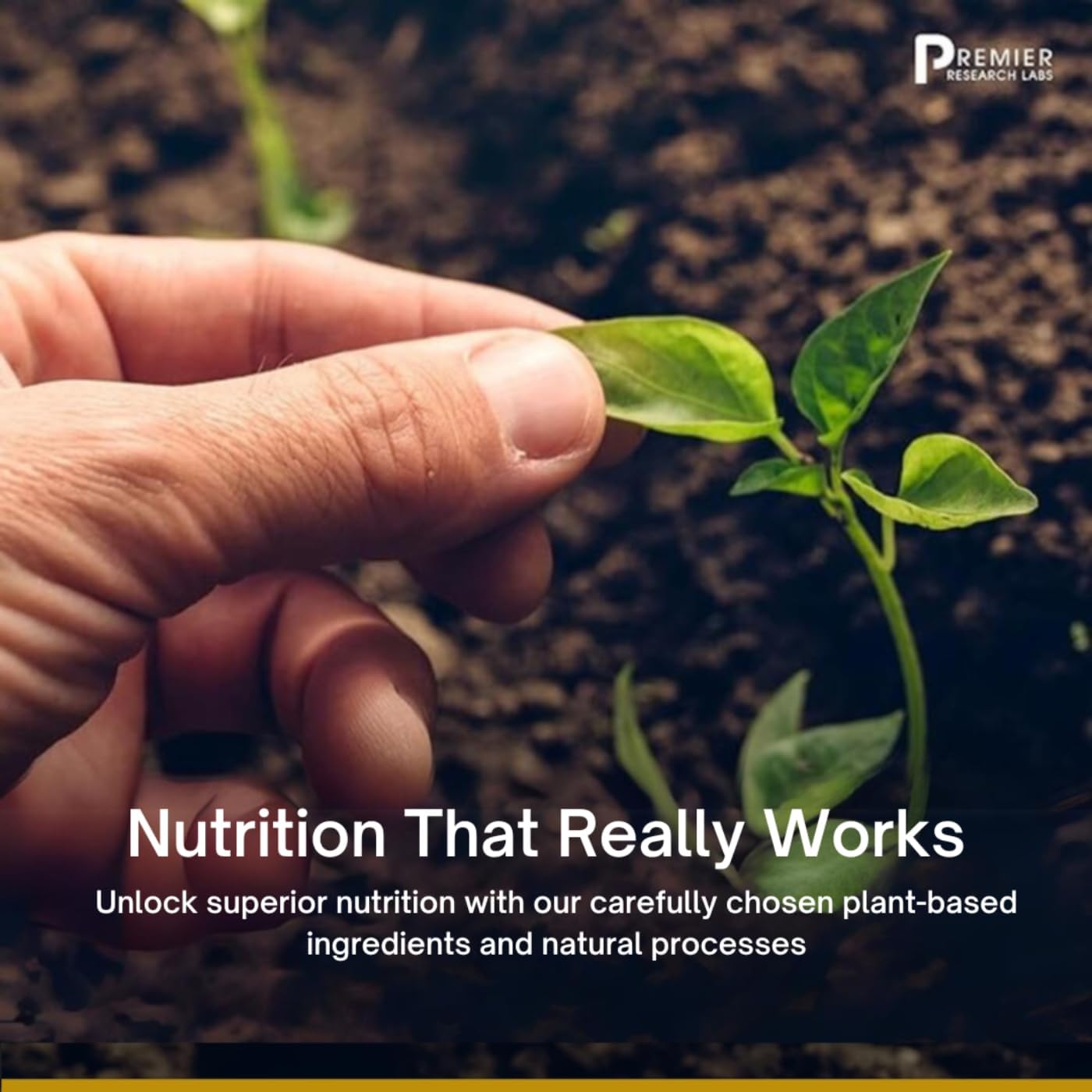 Flush-Free Niacin with Inositol Hexanicotinate - Blood Circulation Support - 60 Vegetarian Capsules