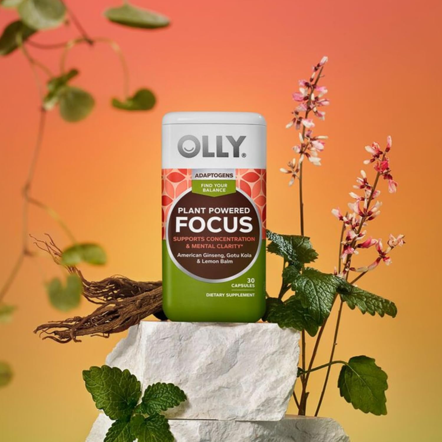 Focus Adaptogen & Ginseng Mood Support Supplement - 30 Vegetarian Capsules
