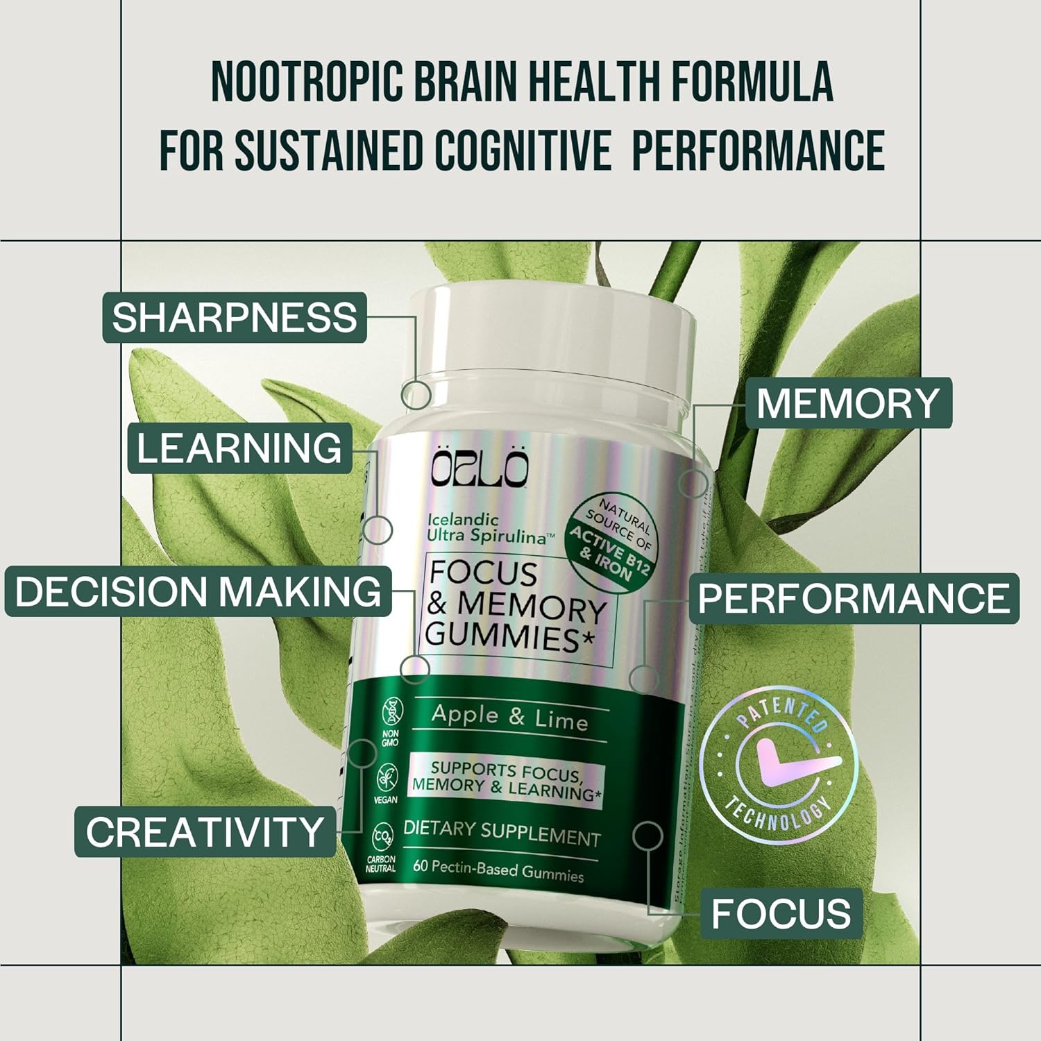 Focus & Memory Nootropic Gummies for Adults - Lion’s Mane, L-Theanine, Phosphatidylserine, Spirulina, Vitamins B6 & B12 - 60 Gummies