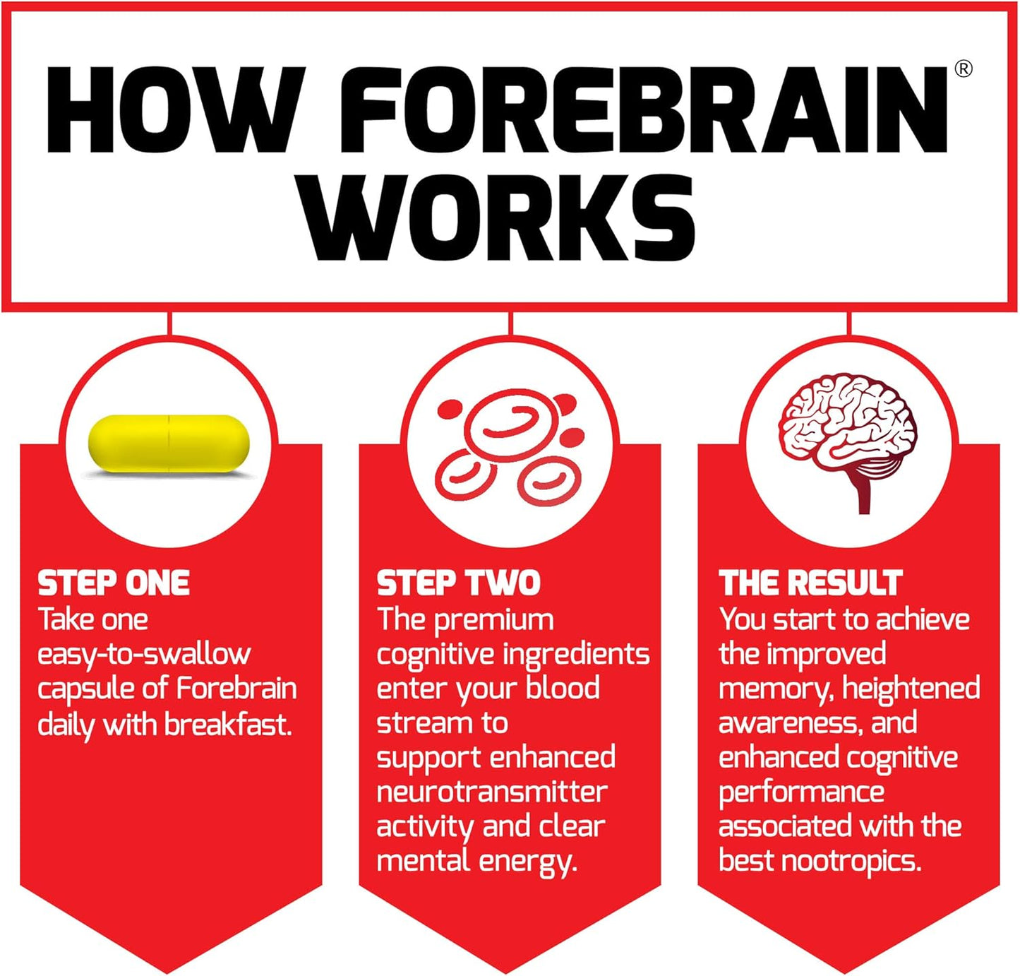 FORCE FACTOR Forebrain Nootropic Brain Supplement 2-Pack - Memory, Focus, Energy - Caffeine, Bacopa, Huperzine A - 60 Capsules