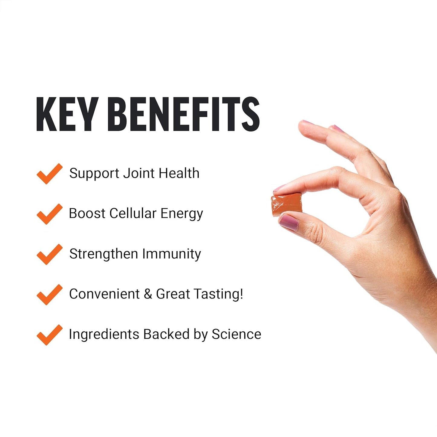 Force Factor Total Beets Nitric Oxide Powder with Turmeric Curcumin for Circulation and Joint Support