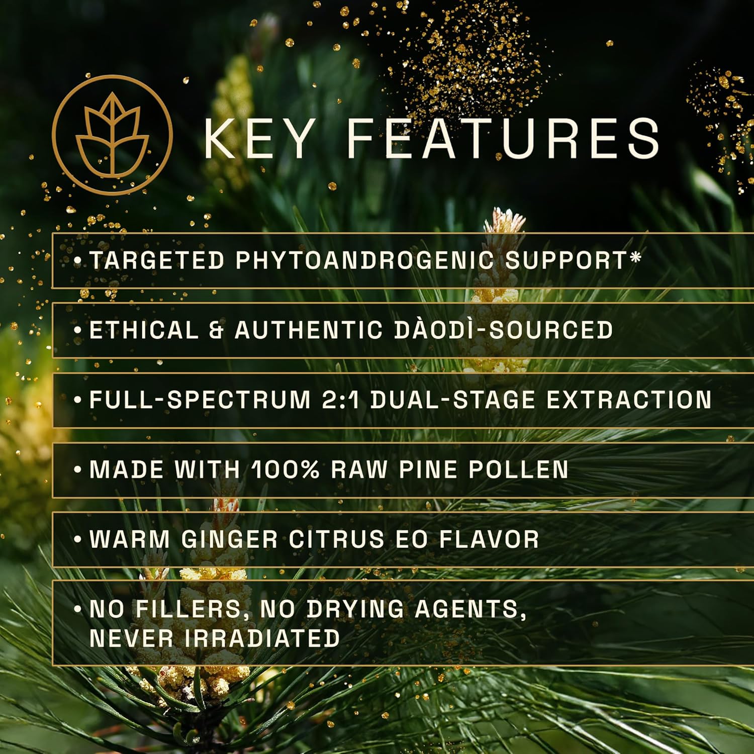 Forest Aurum Pine Pollen Nectar Tincture - 2:1 Dual-Stage Extract - Pure Pine Pollen Tincture - 2 oz Bottle