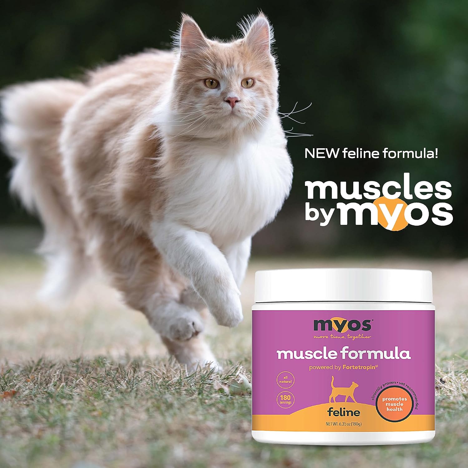 Fortetropin-Powered Feline Muscle Formula for Senior Cats - Supports Weight Gain, Muscle Growth, and Mobility - Natural Nutritional Supplement - 180 Servings