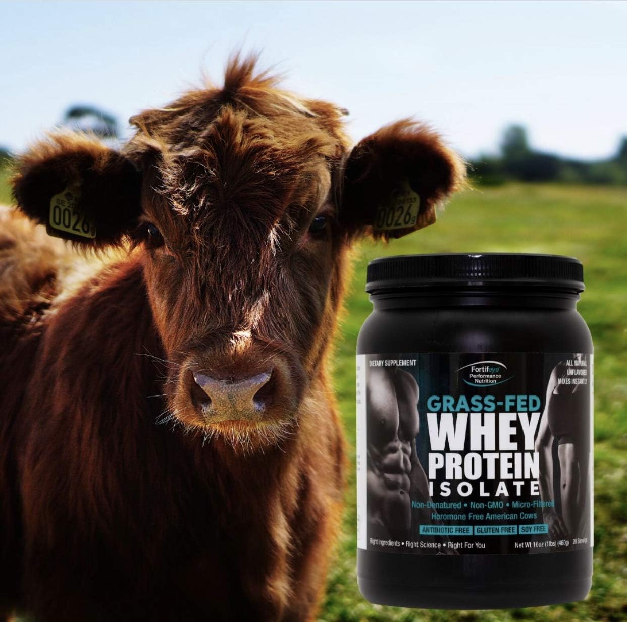 Fortifeye Super Protein: Non-Denatured Vanilla Whey Protein Powder from New Zealand Grass-Fed Cows - 3 Pack