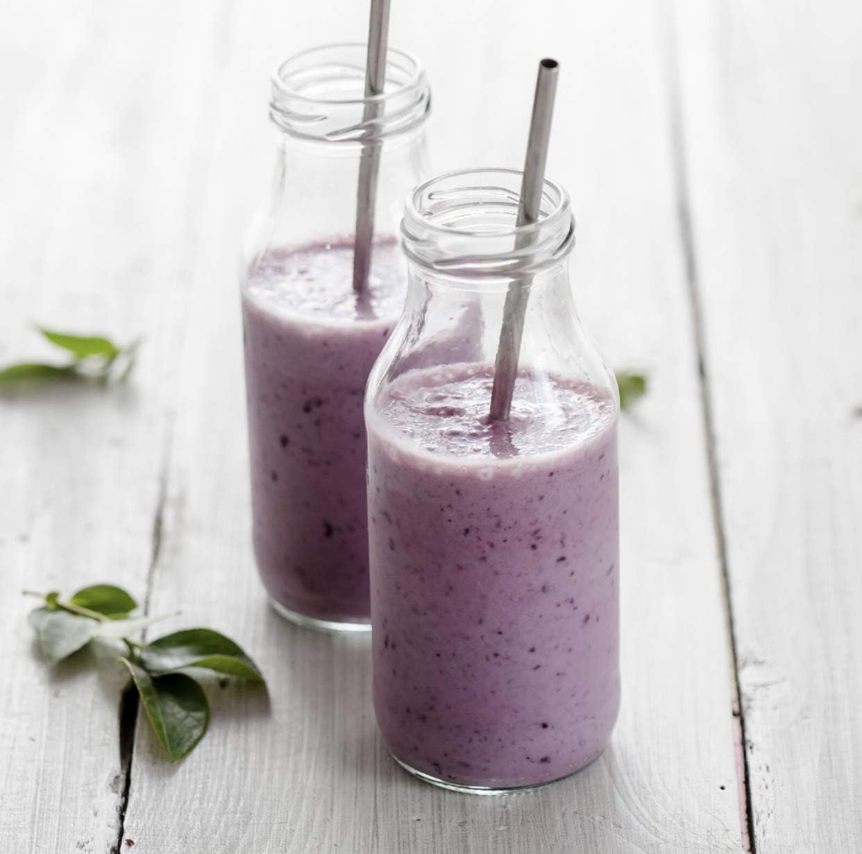 Fortifeye Super Protein: Non-Denatured Vanilla Whey Protein Powder from New Zealand Grass-Fed Cows - 3 Pack