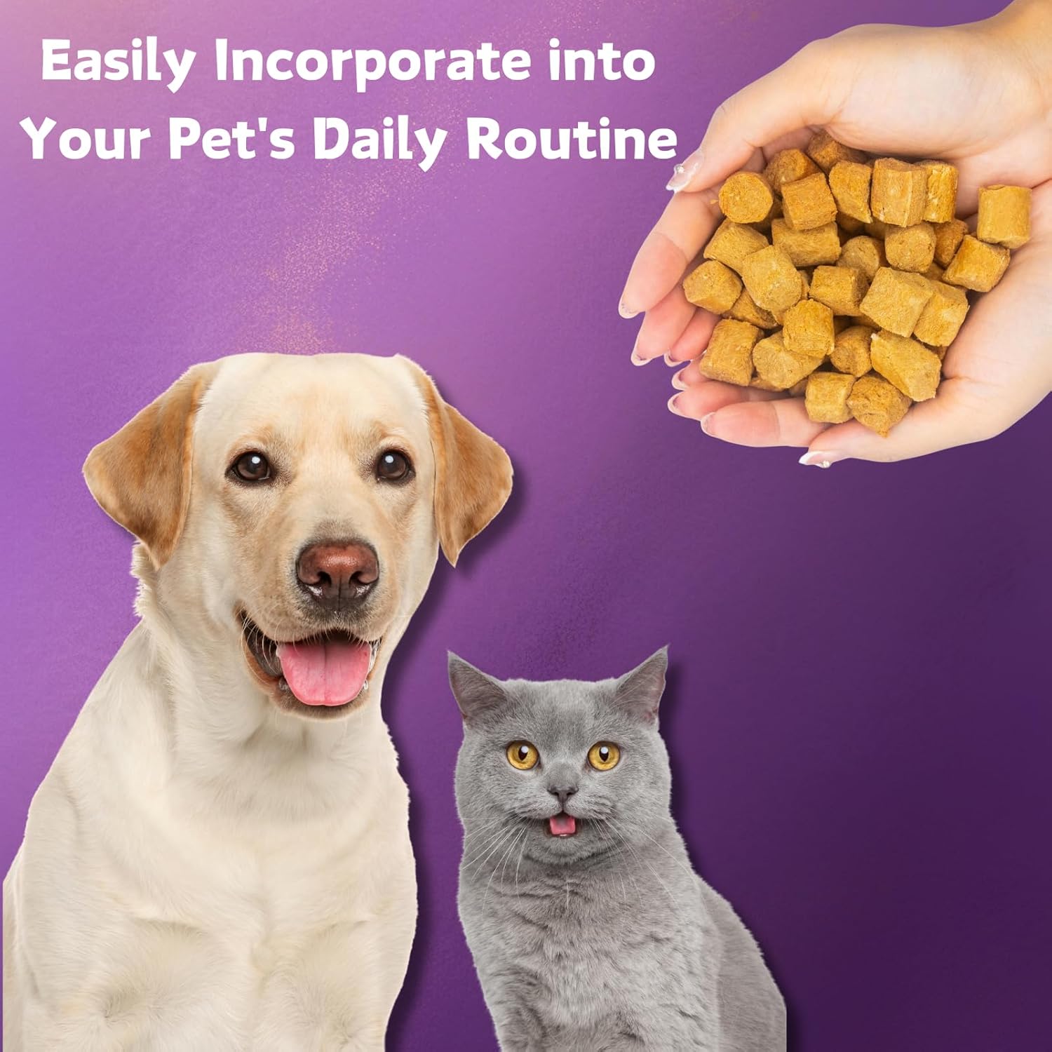 Freeze Dried Dog Probiotics with Prebiotics & Enzymes - 6 Billion CFUs for Diarrhea & Gas Relief, Skin & Immune Health - 180 Count