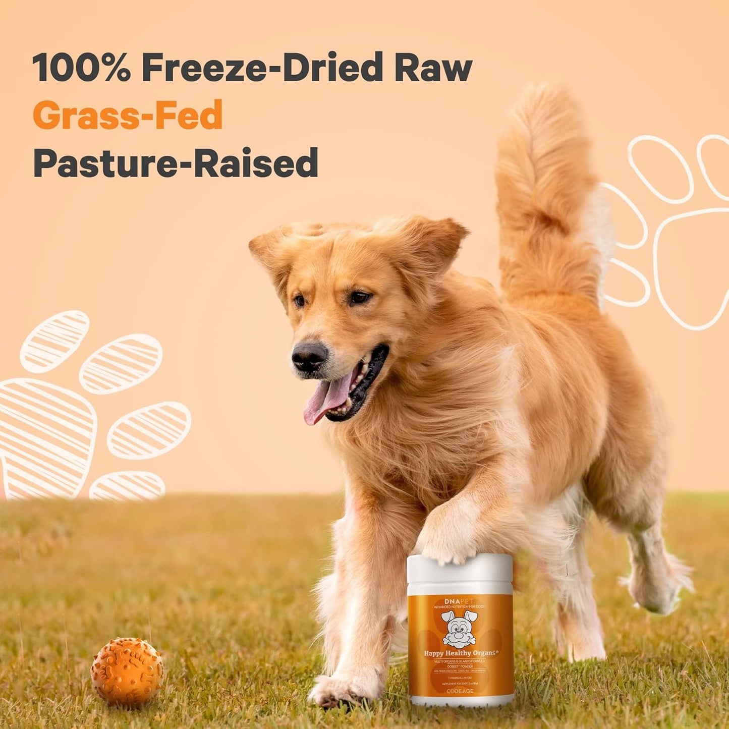 Freeze-Dried Raw Beef Organ Supplement for Dogs, Multi-Organ Powder with Canine Vitamins, 3 oz