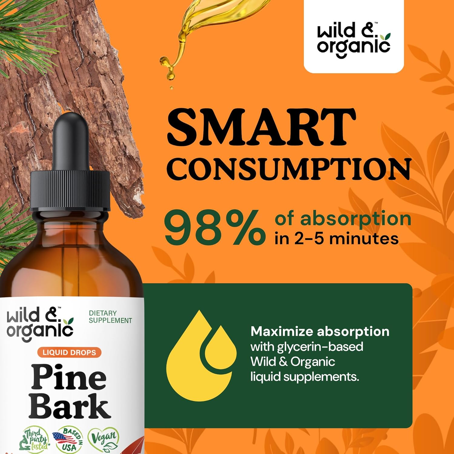 French Maritime Pine Bark Extract Drops - Antioxidant Support - 5-Month Supply - Pinus Pinaster Tincture - Vegan & Alcohol-Free - 4 fl oz