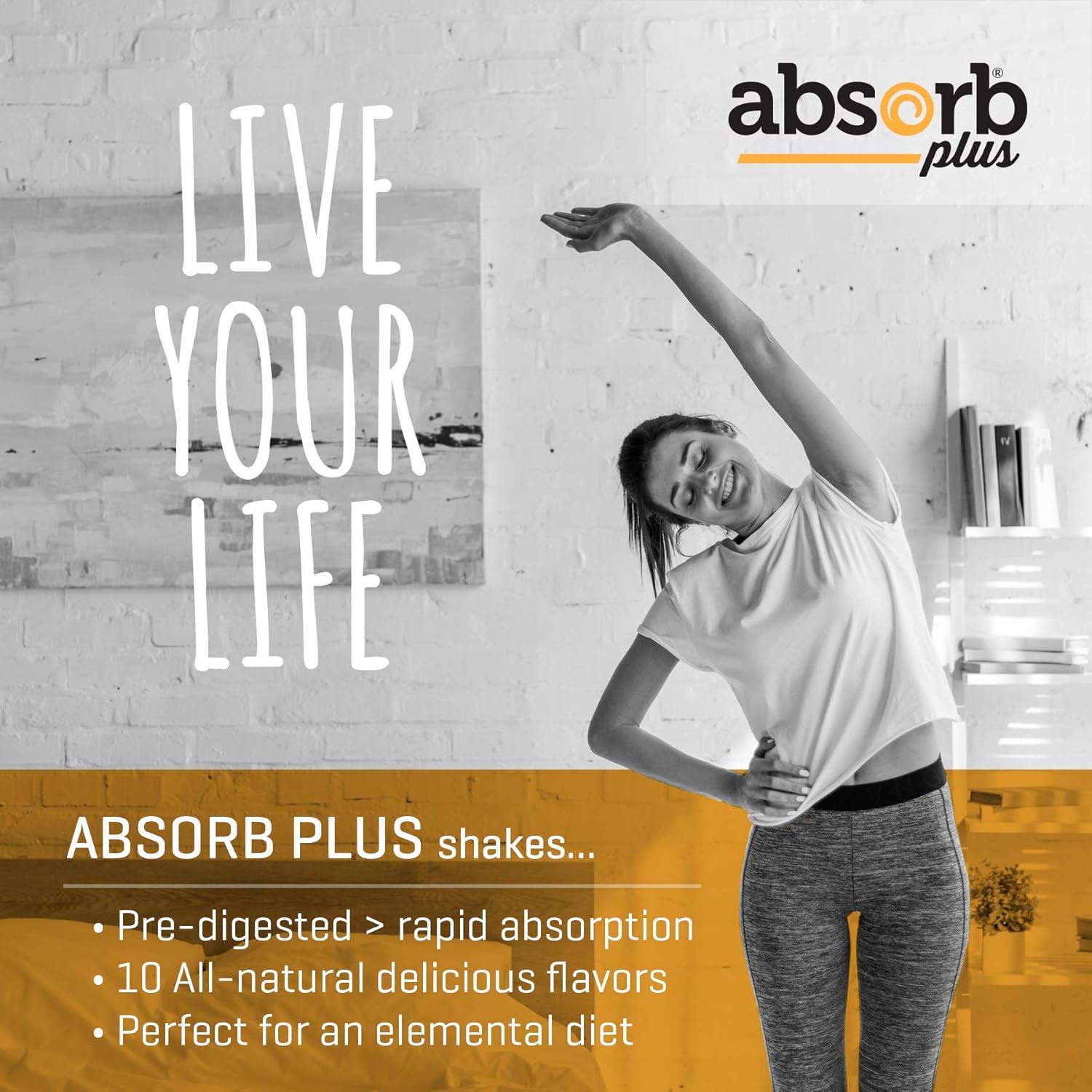 French Vanilla Absorb Plus Isolate Protein - Non-GMO, Gluten-Free, Lactose-Free, Casein-Free Diet Supplement for Gut Health & Nutritional Support (100 g)