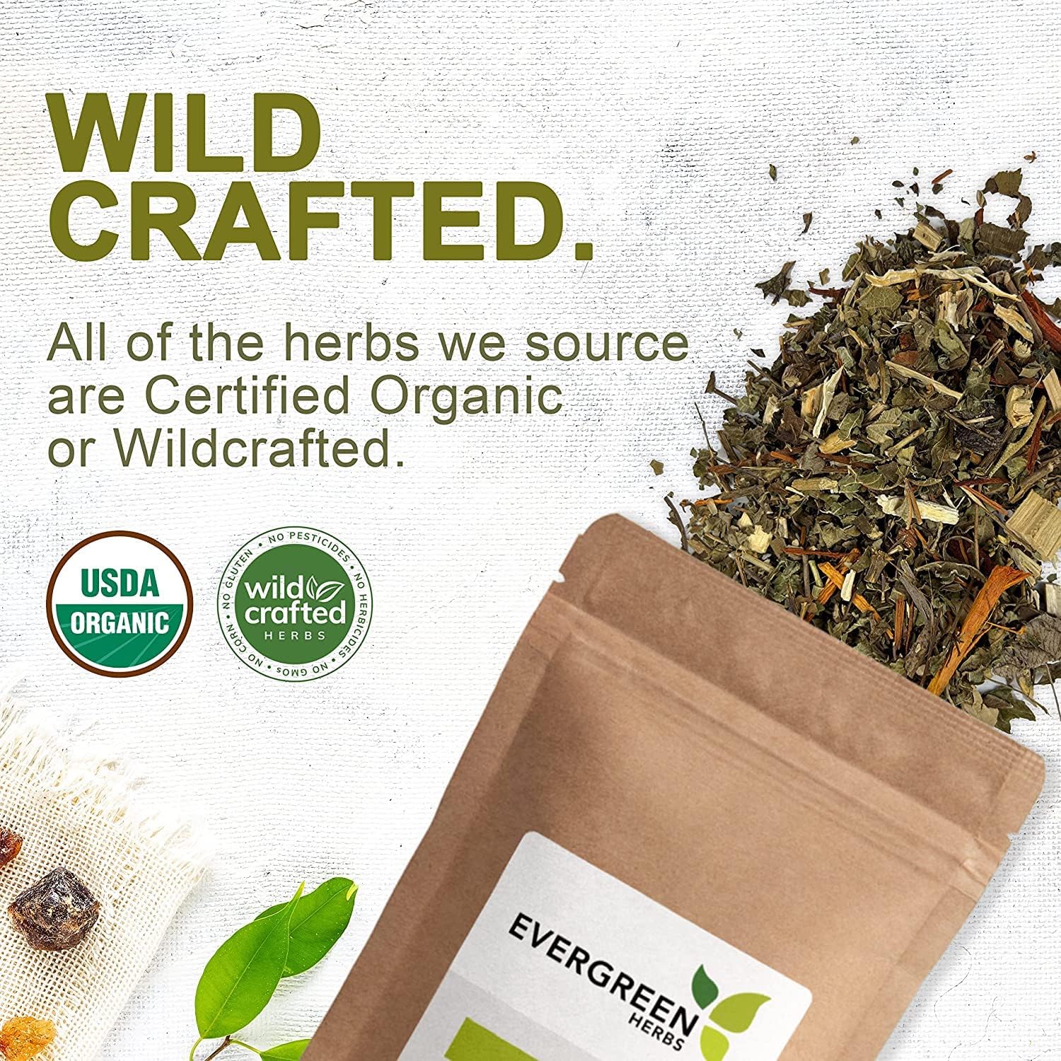 Fresh Evergreen Wereque Herbs (Ibervillea Sonorae) - Tamper Proof Seal, 8oz Whole Herb, Huereque, Guareque, Wareki, and Choyalhuani