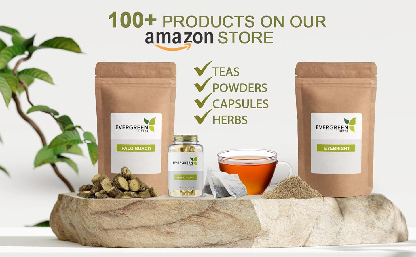 Fresh Evergreen Wereque Herbs (Ibervillea Sonorae) - Tamper Proof Seal, 8oz Whole Herb, Huereque, Guareque, Wareki, and Choyalhuani