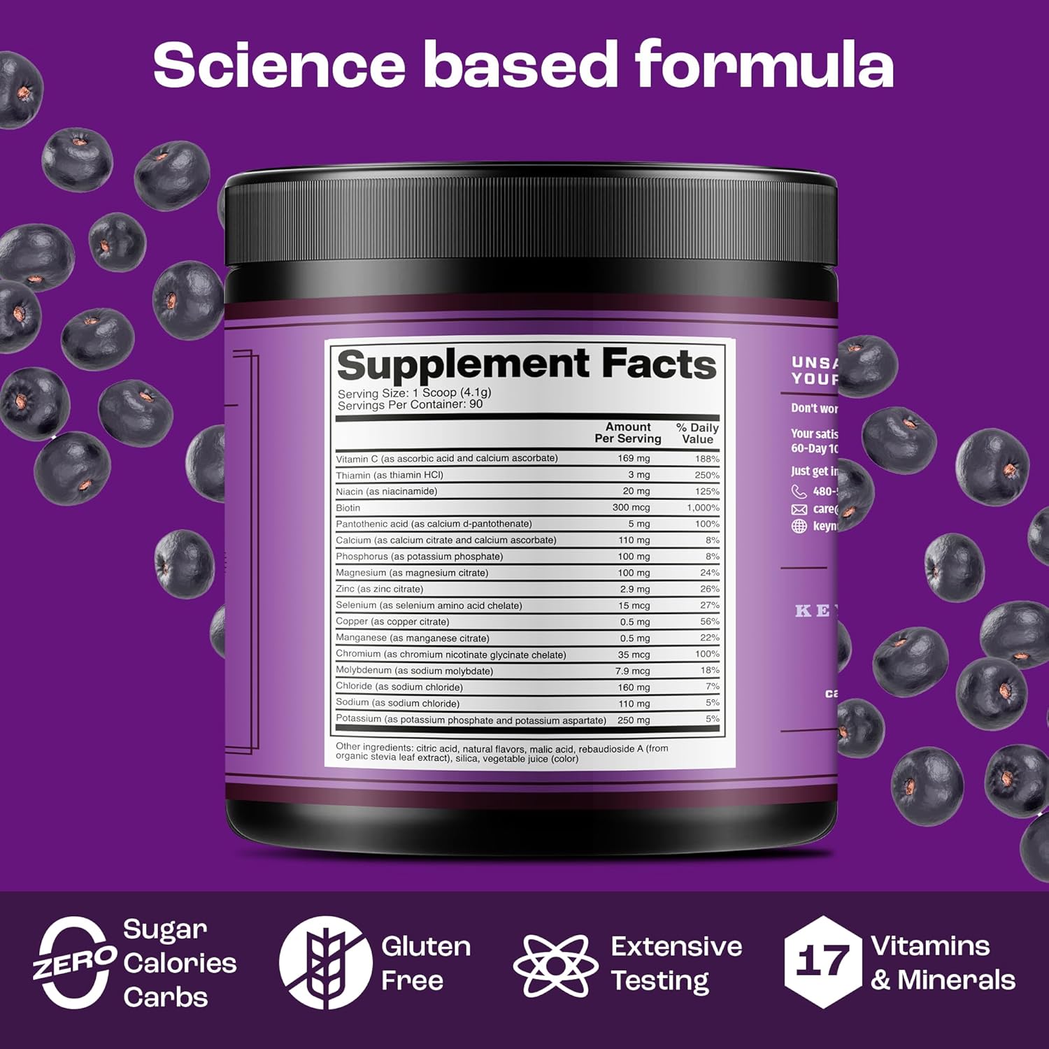 Fruity Acai Berry Electrolyte Powder with Key Nutrients - No Sugar Hydration Supplement for Endurance & Energy - 90 Servings - Made in USA