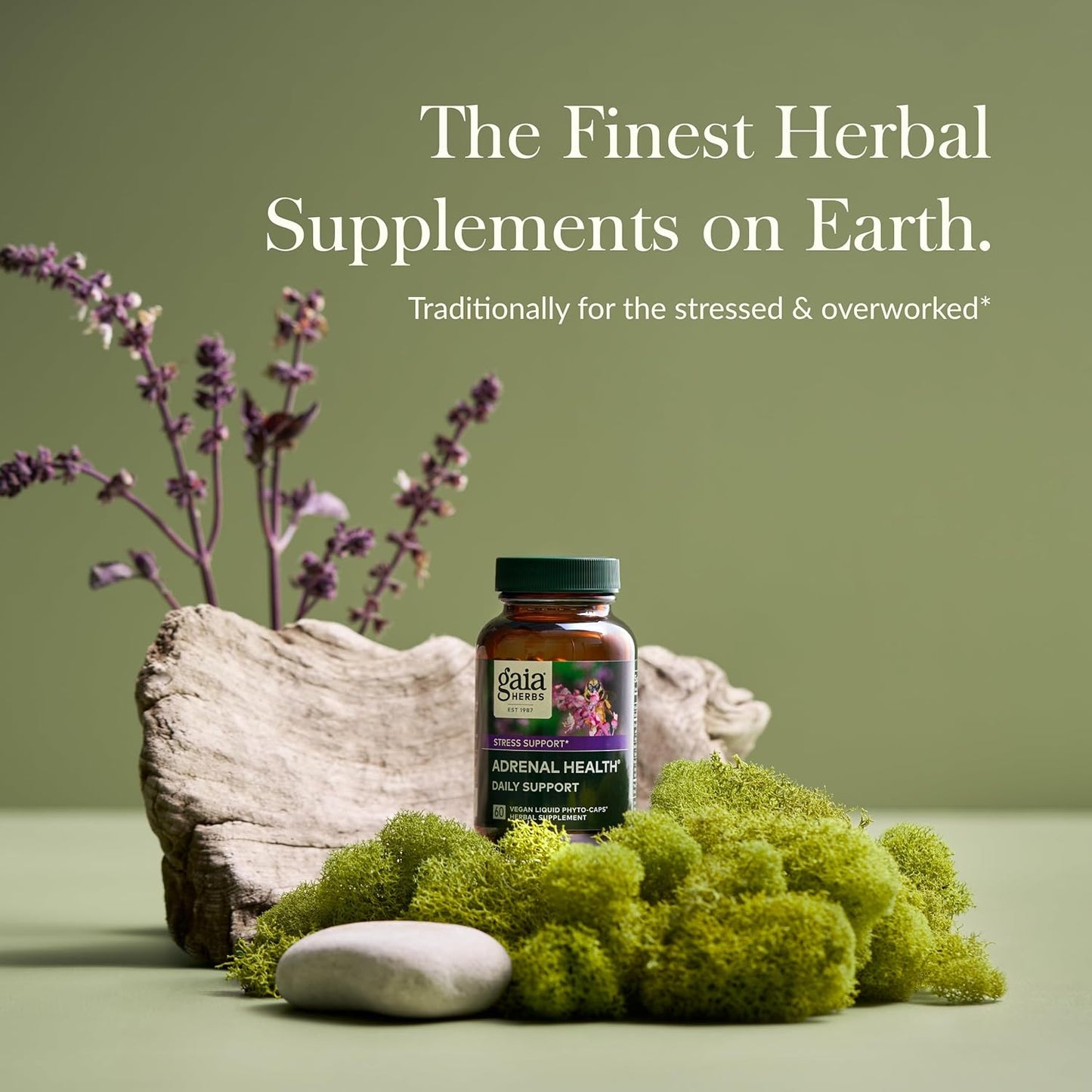 Gaia Herbs Adrenal Health Daily Support - Herbal Supplement with Ashwagandha, Holy Basil & Schisandra - Promotes Healthy Energy & Stress Levels - 60 Liquid Phyto-Capsules