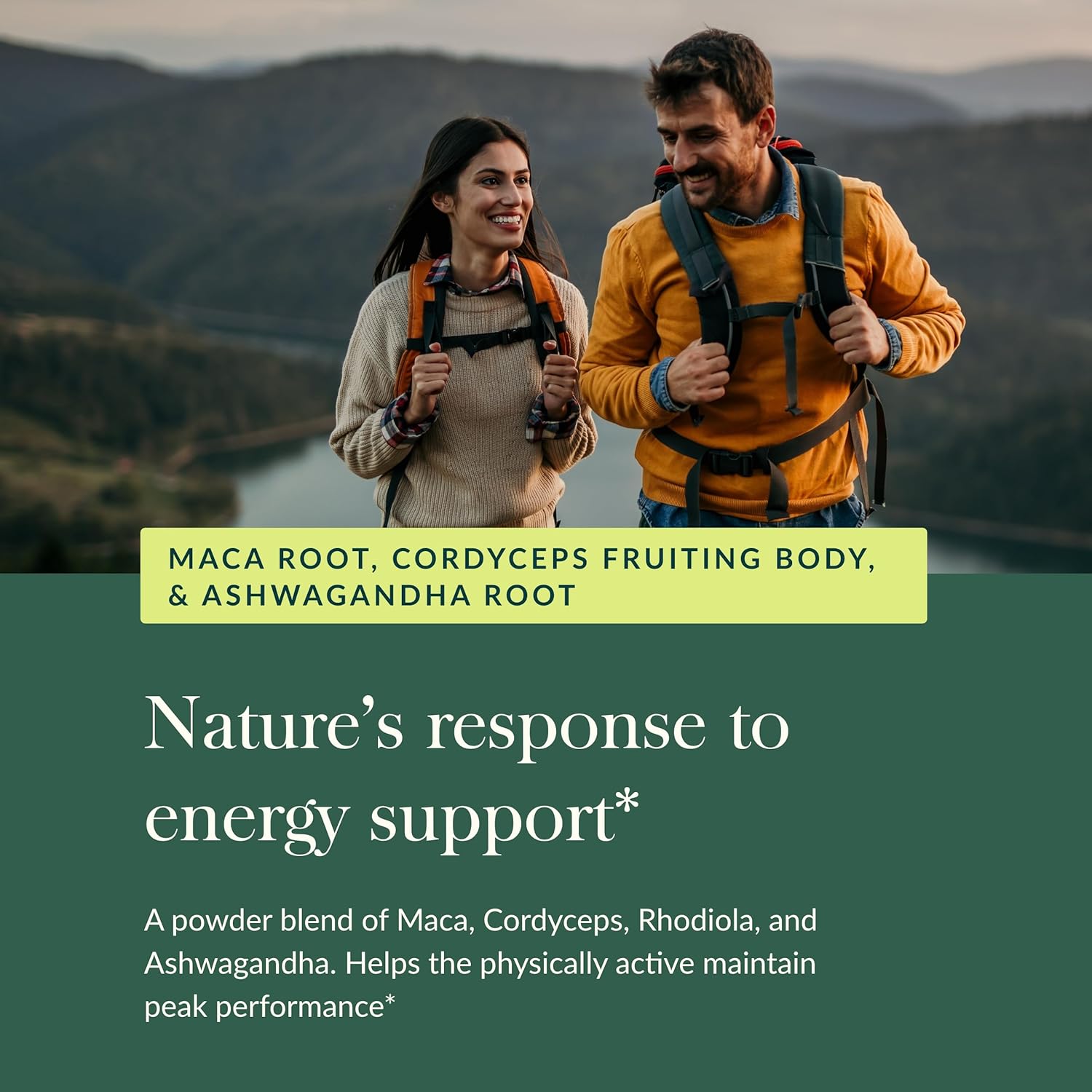 Gaia Herbs Everyday Adaptogen Powder - Energy Support & Stress Maintenance - Maca Root, Cordyceps, Ashwagandha - 3.5 Oz