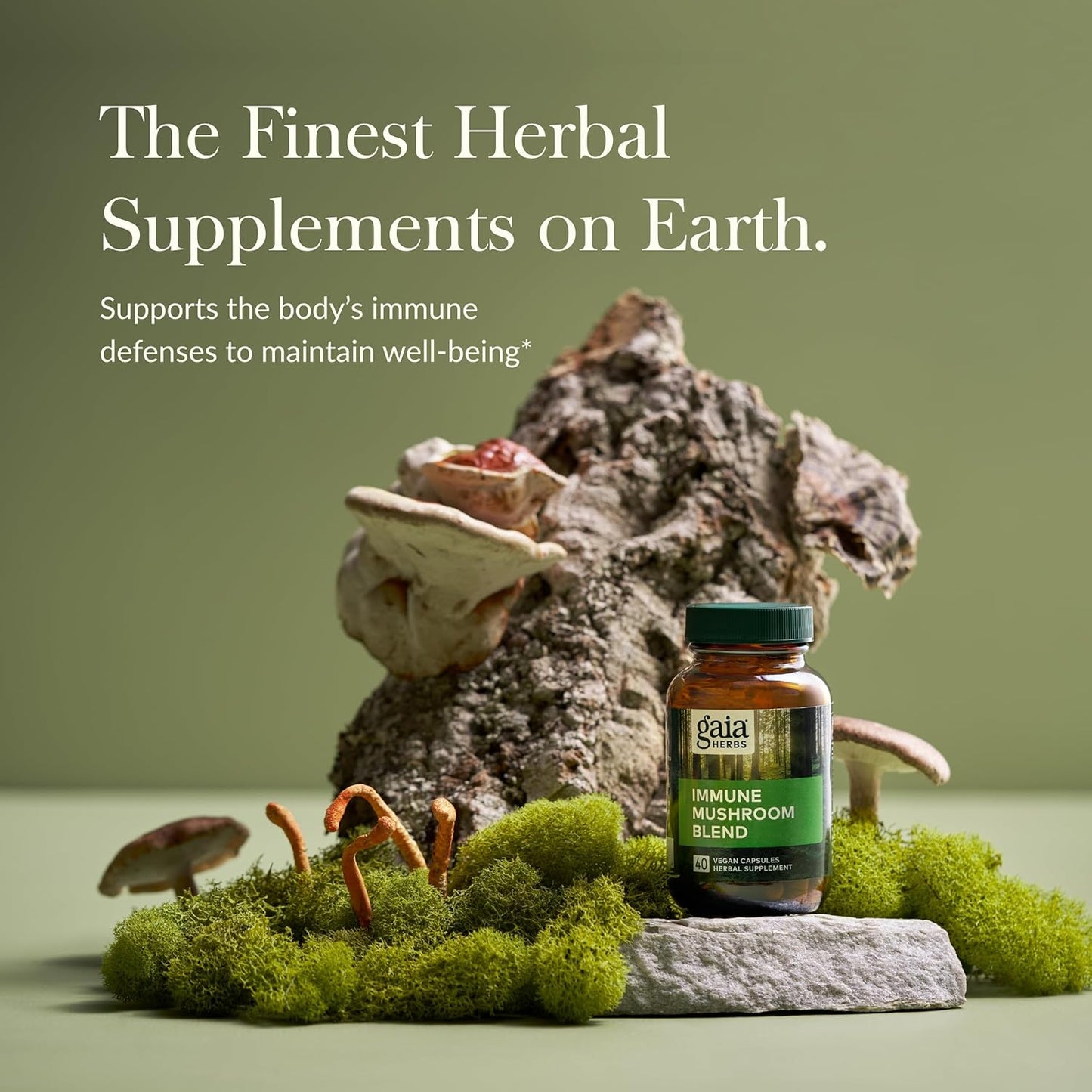 Gaia Herbs Immune Mushroom Blend - Vegan Capsules with Reishi, Cordyceps, Turkey Tail, Shiitake, and Chaga Mushrooms for Year-Round Health - Immune Support Supplement (40-Day Supply)