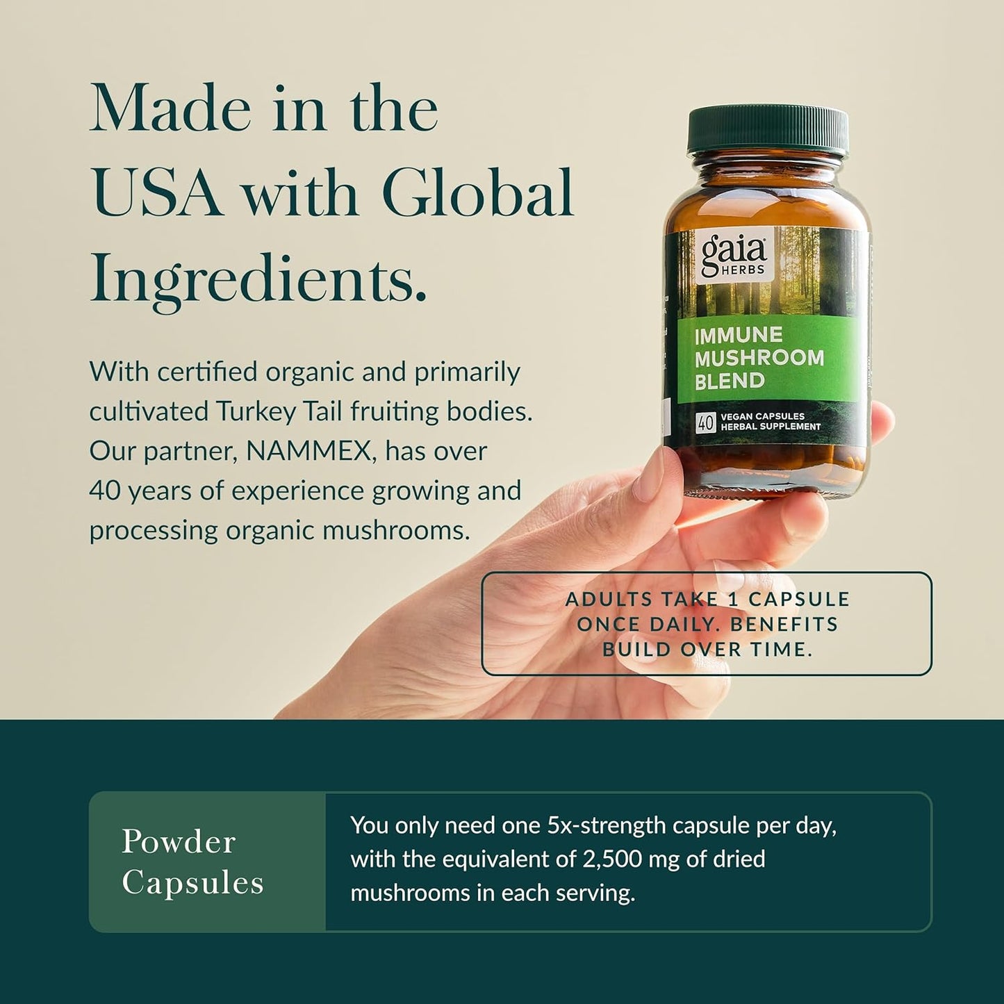 Gaia Herbs Immune Mushroom Blend - Vegan Capsules with Reishi, Cordyceps, Turkey Tail, Shiitake, and Chaga Mushrooms for Year-Round Health - Immune Support Supplement (40-Day Supply)